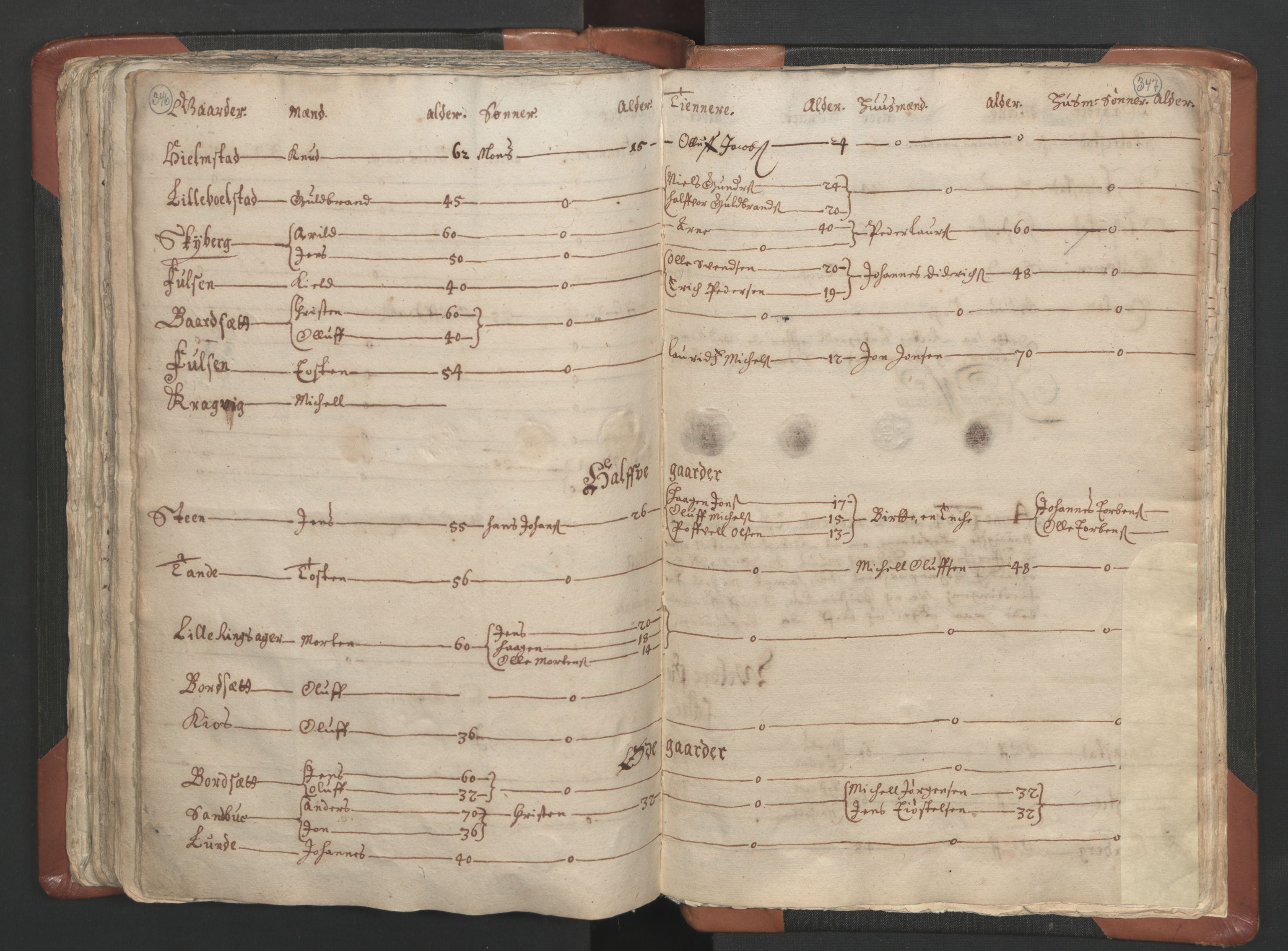RA, Vicar's Census 1664-1666, no. 5: Hedmark deanery, 1664-1666, p. 346-347