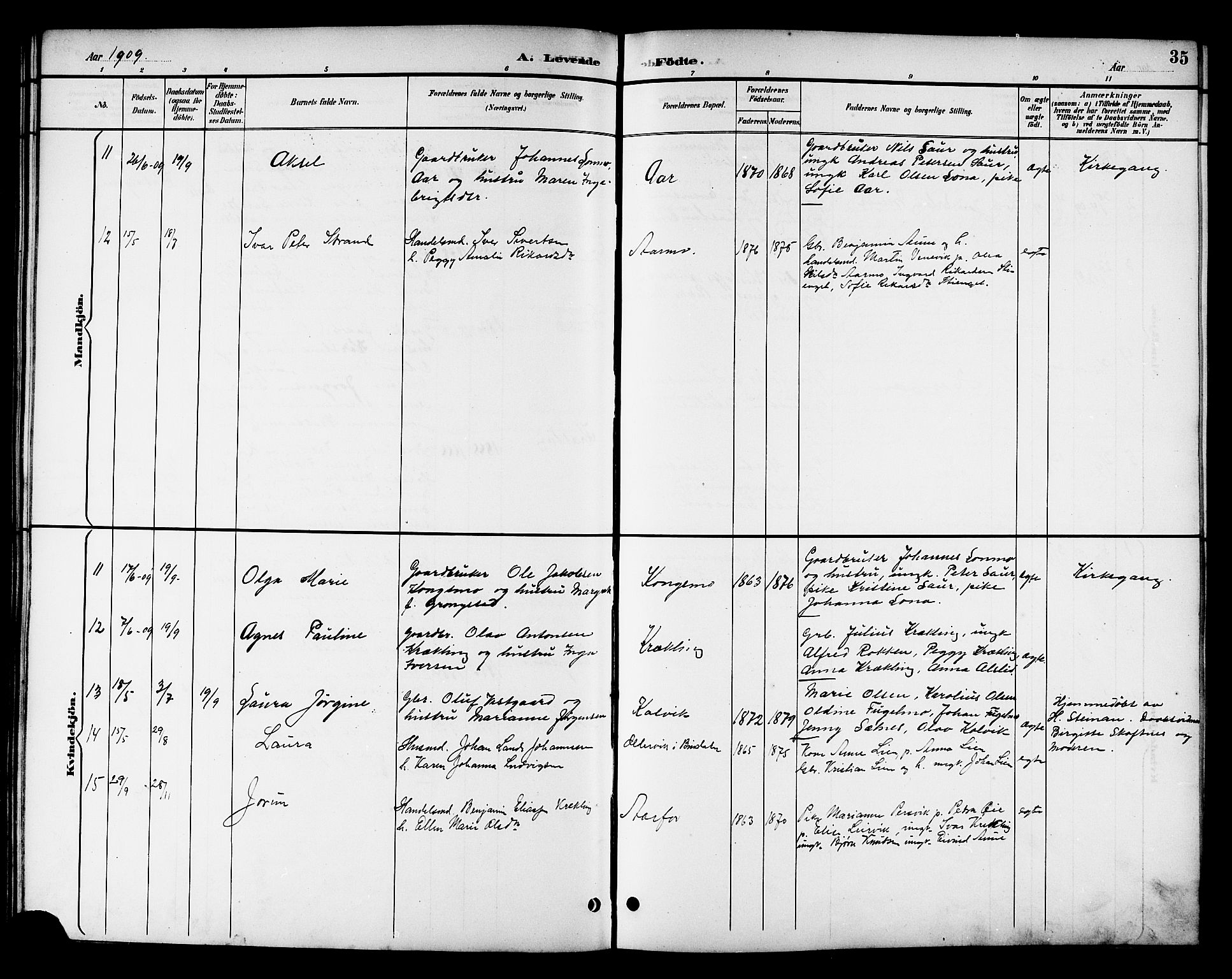 Ministerialprotokoller, klokkerbøker og fødselsregistre - Nord-Trøndelag, SAT/A-1458/783/L0662: Parish register (copy) no. 783C02, 1894-1919, p. 35