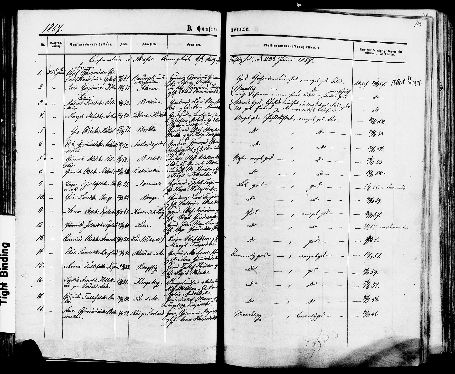 Mo kirkebøker, SAKO/A-286/F/Fa/L0006: Parish register (official) no. I 6, 1865-1885, p. 113