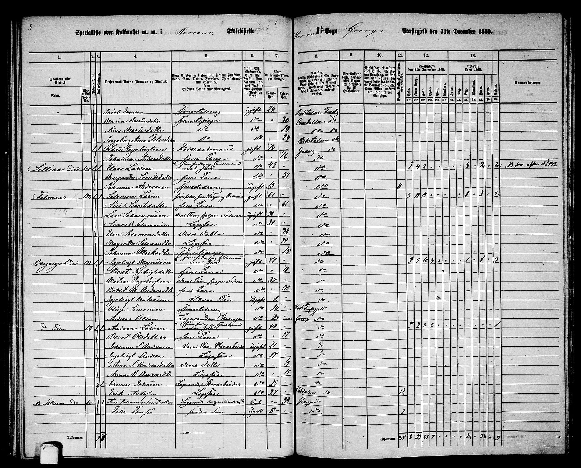 RA, 1865 census for Grong, 1865, p. 100