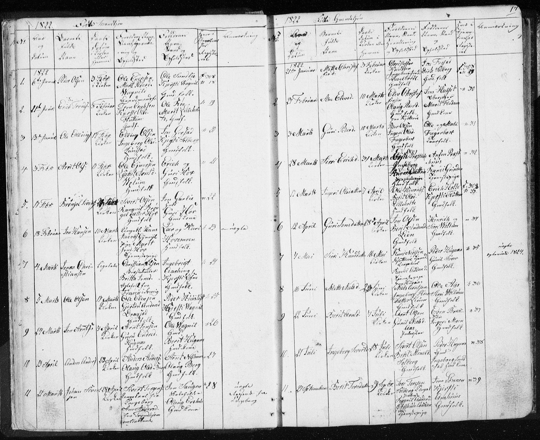 Ministerialprotokoller, klokkerbøker og fødselsregistre - Sør-Trøndelag, SAT/A-1456/689/L1043: Parish register (copy) no. 689C02, 1816-1892, p. 17