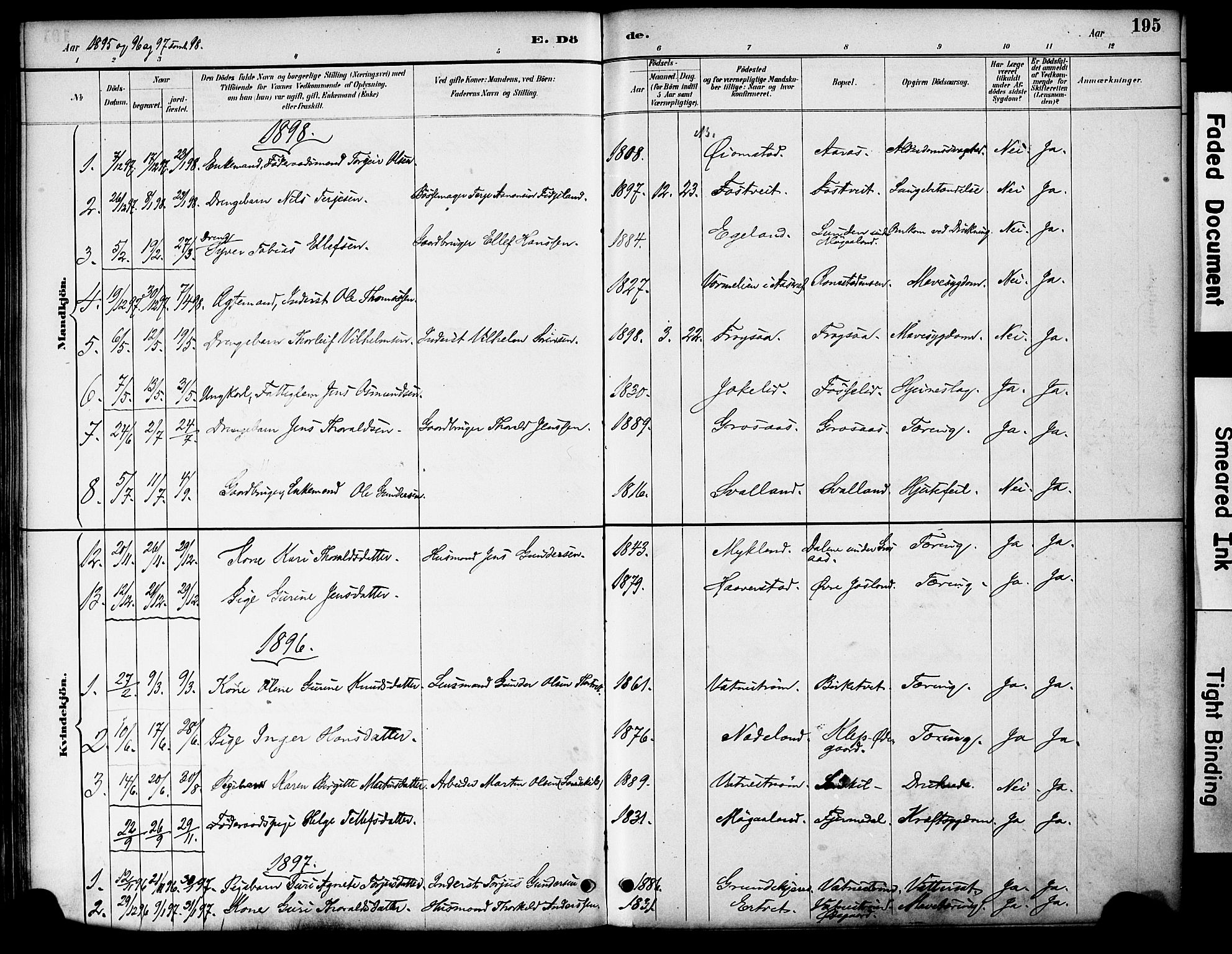 Evje sokneprestkontor, AV/SAK-1111-0008/F/Fa/Fac/L0003: Parish register (official) no. A 3, 1884-1909, p. 195