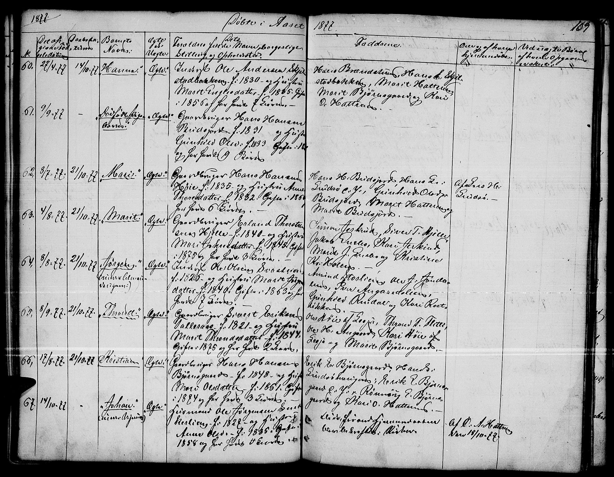 Dovre prestekontor, SAH/PREST-066/H/Ha/Hab/L0001: Parish register (copy) no. 1, 1862-1880, p. 109
