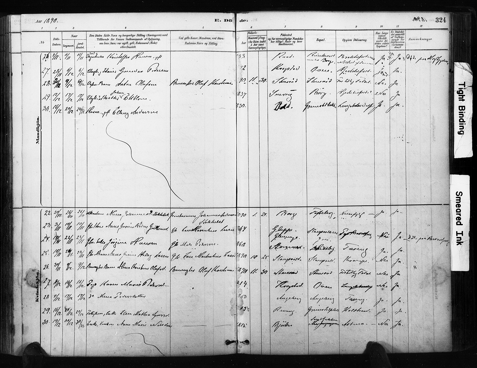 Råde prestekontor kirkebøker, AV/SAO-A-2009/F/Fa/L0007: Parish register (official) no. 7, 1878-1902, p. 324