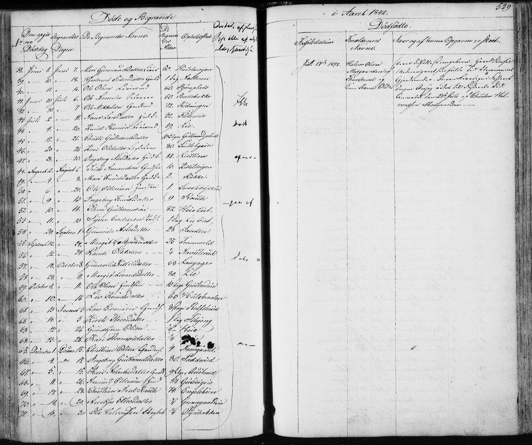 Nes kirkebøker, AV/SAKO-A-236/F/Fa/L0009: Parish register (official) no. 9, 1834-1863, p. 529