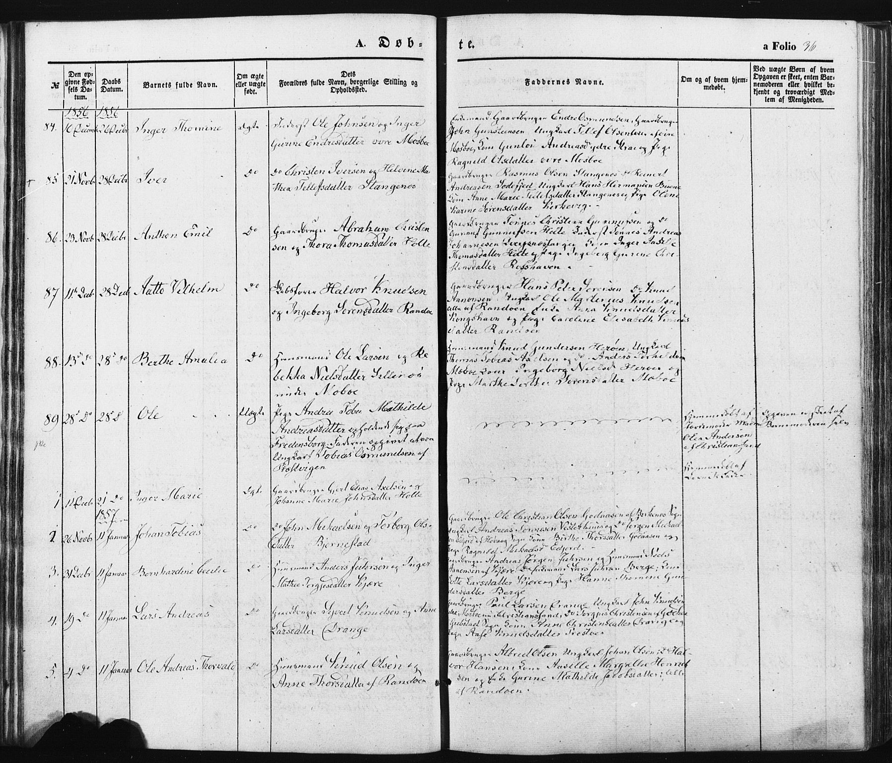 Oddernes sokneprestkontor, AV/SAK-1111-0033/F/Fa/Faa/L0007: Parish register (official) no. A 7, 1851-1863, p. 36