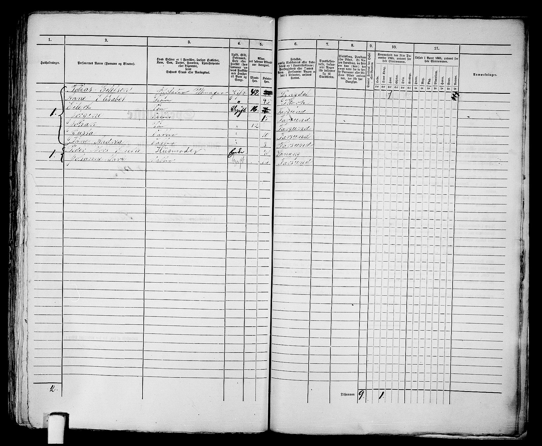 RA, 1865 census for Vanse/Farsund, 1865, p. 376