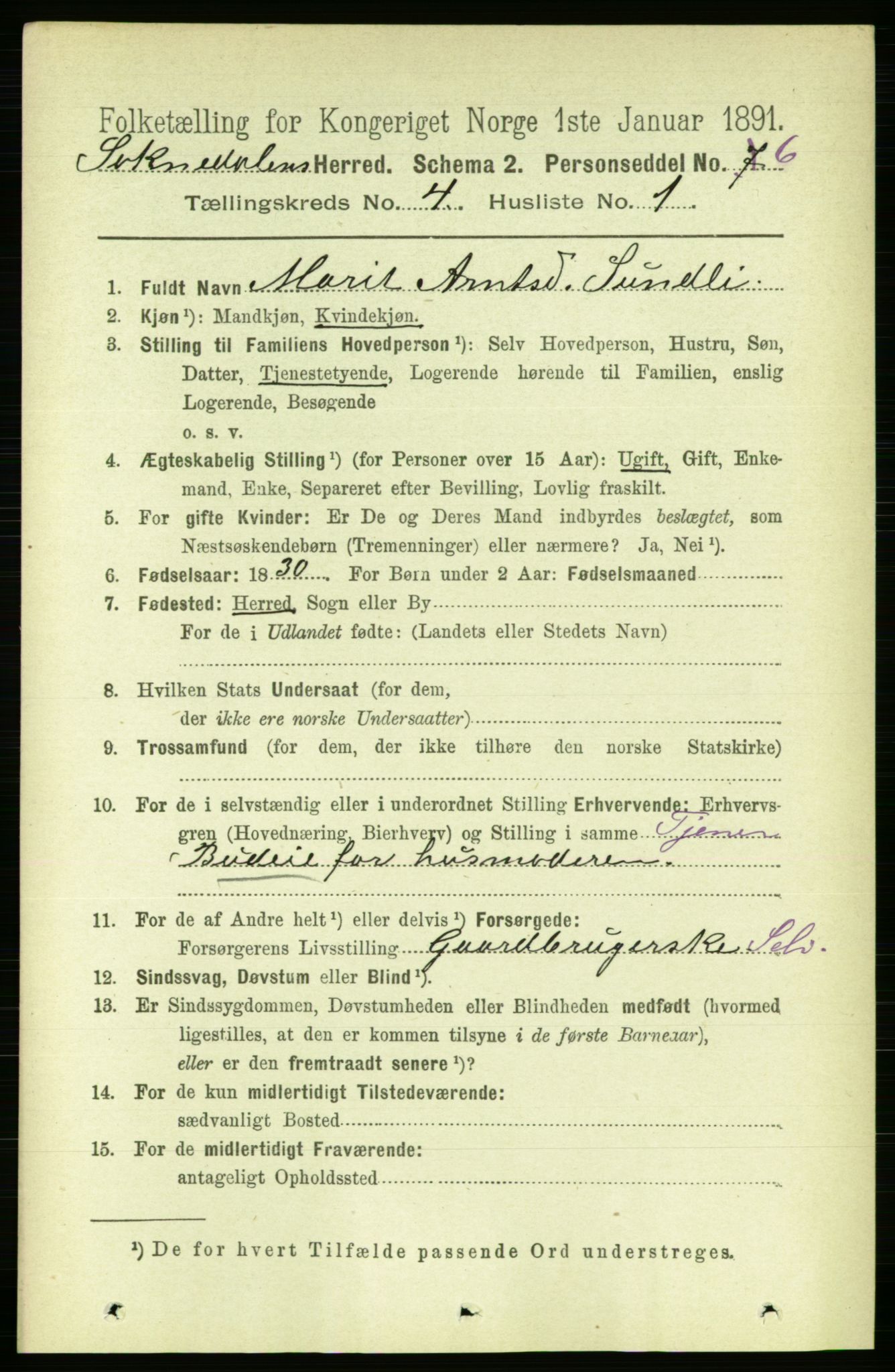 RA, 1891 census for 1649 Soknedal, 1891, p. 1606