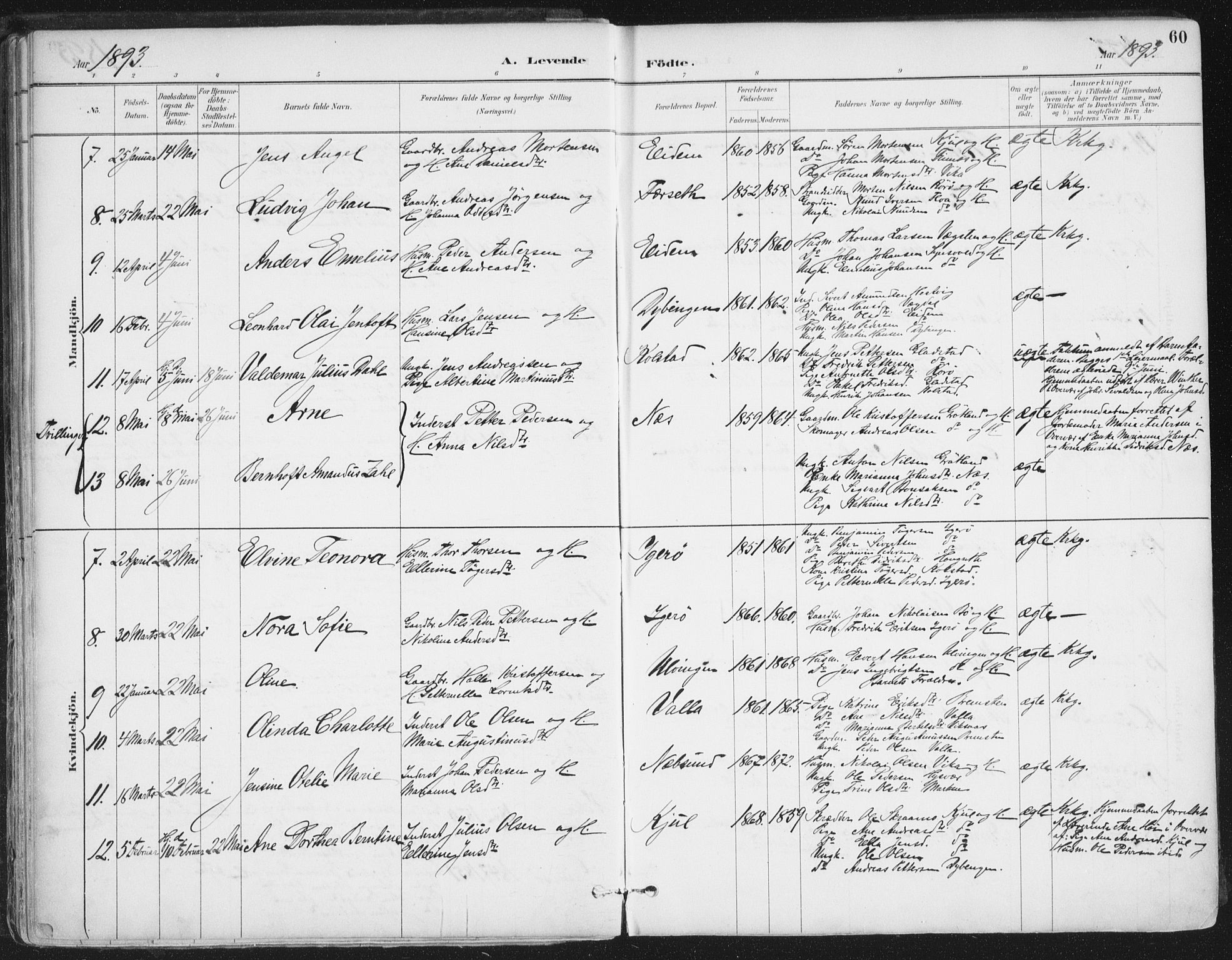 Ministerialprotokoller, klokkerbøker og fødselsregistre - Nordland, AV/SAT-A-1459/816/L0244: Parish register (official) no. 816A10, 1886-1903, p. 60