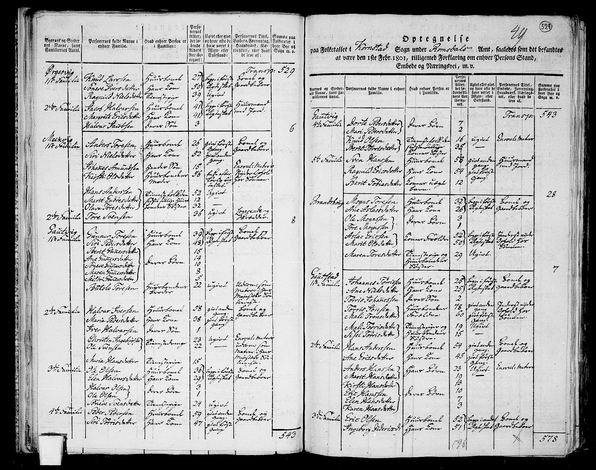 RA, 1801 census for 1553P Kvernes, 1801, p. 528b-529a