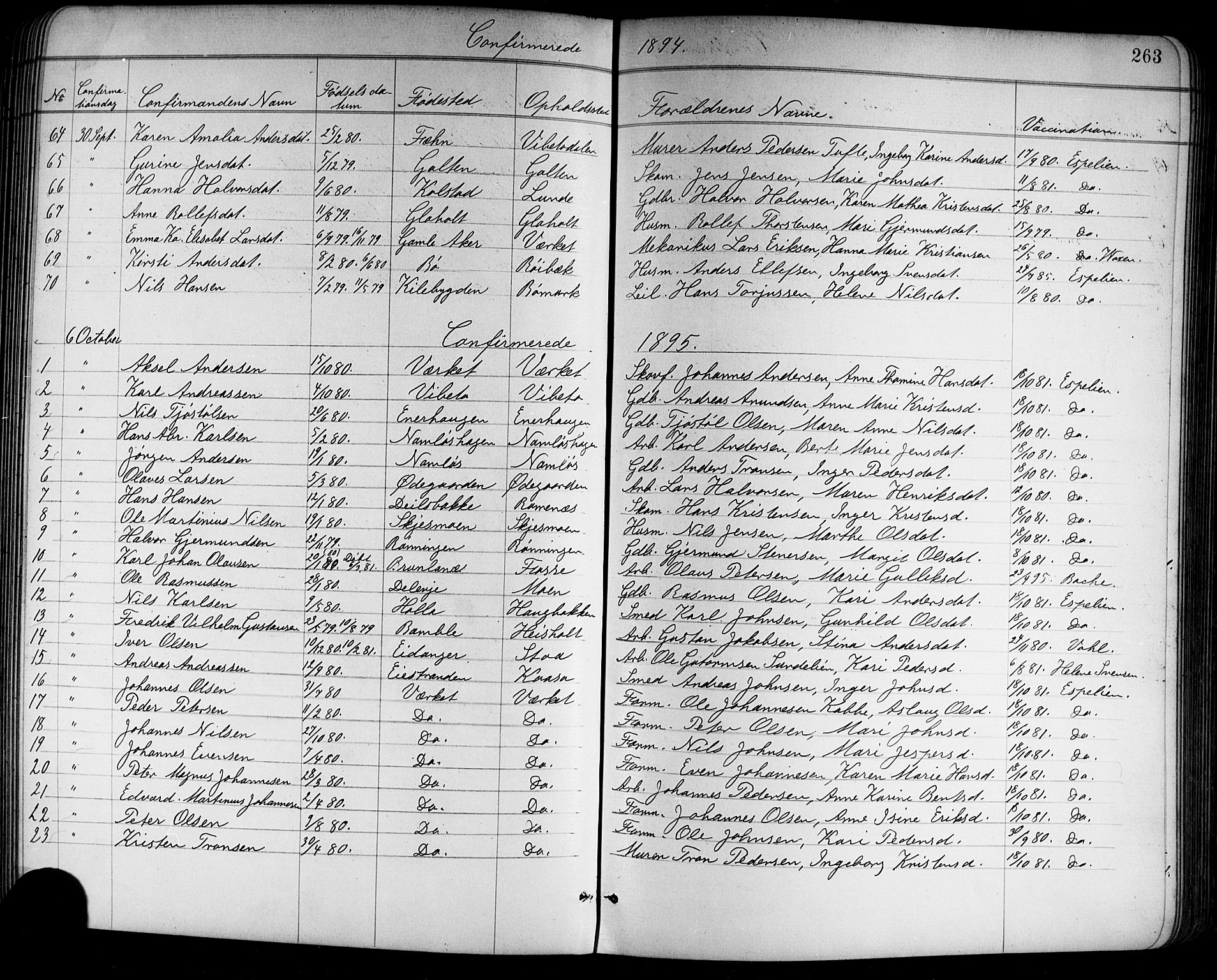 Holla kirkebøker, SAKO/A-272/G/Ga/L0005: Parish register (copy) no. I 5, 1891-1917, p. 263