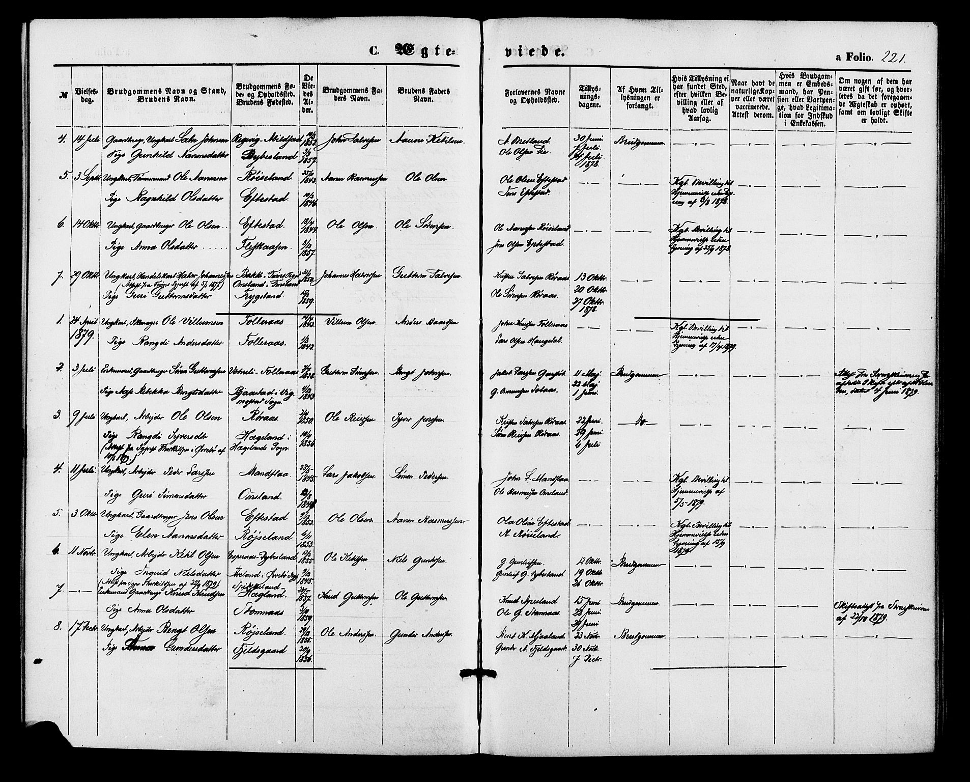 Bjelland sokneprestkontor, SAK/1111-0005/F/Fa/Fab/L0003: Parish register (official) no. A 3, 1870-1887, p. 221