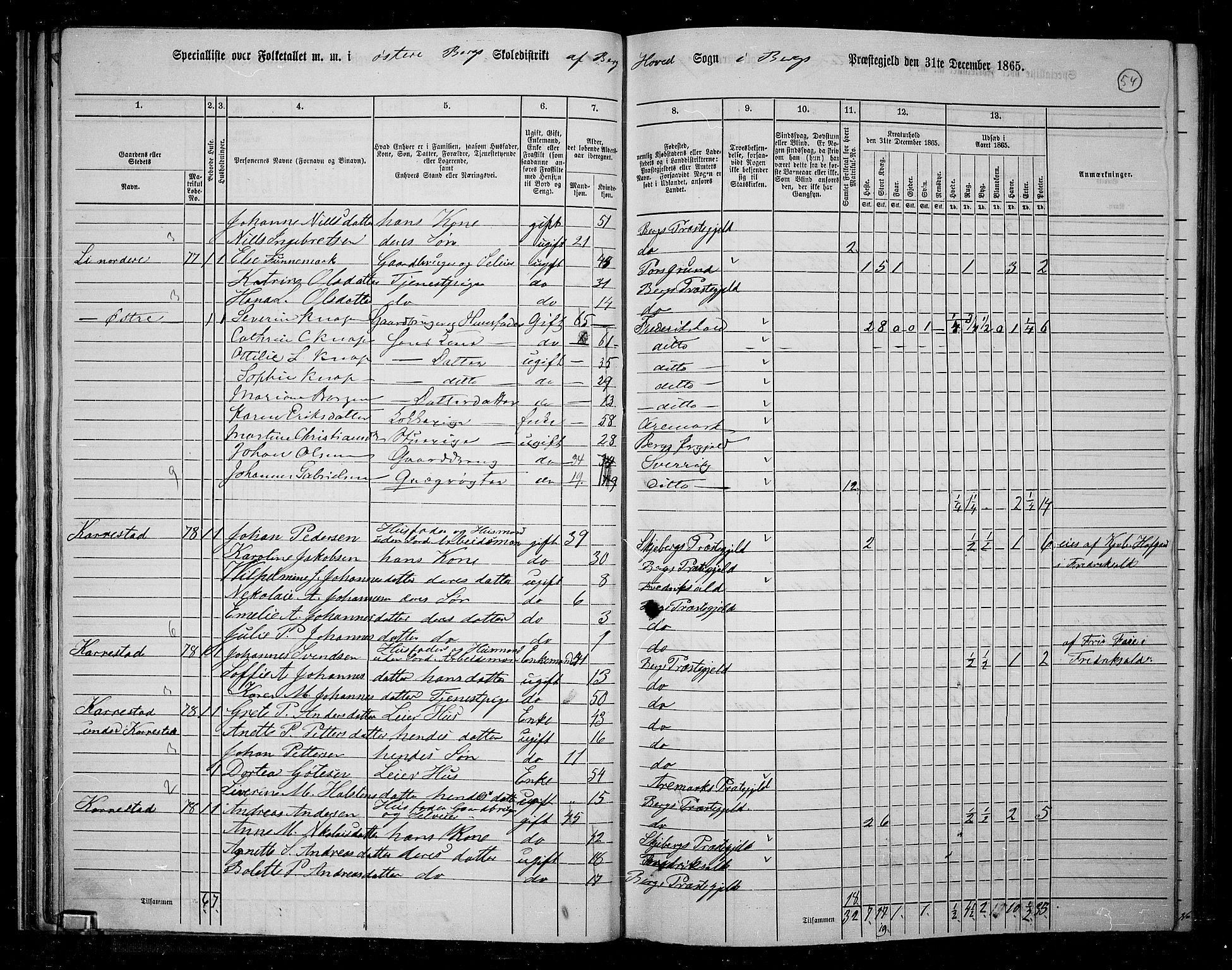 RA, 1865 census for Berg, 1865, p. 51