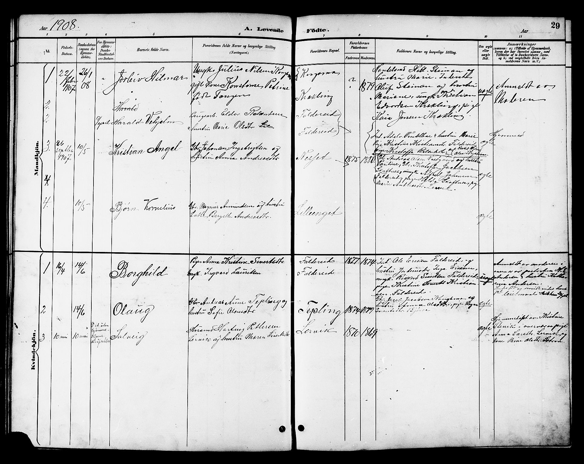 Ministerialprotokoller, klokkerbøker og fødselsregistre - Nord-Trøndelag, SAT/A-1458/783/L0662: Parish register (copy) no. 783C02, 1894-1919, p. 29