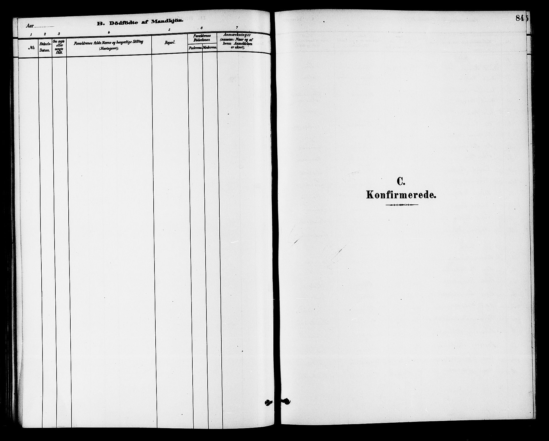 Krødsherad kirkebøker, AV/SAKO-A-19/G/Ga/L0001: Parish register (copy) no. 1, 1879-1893, p. 84