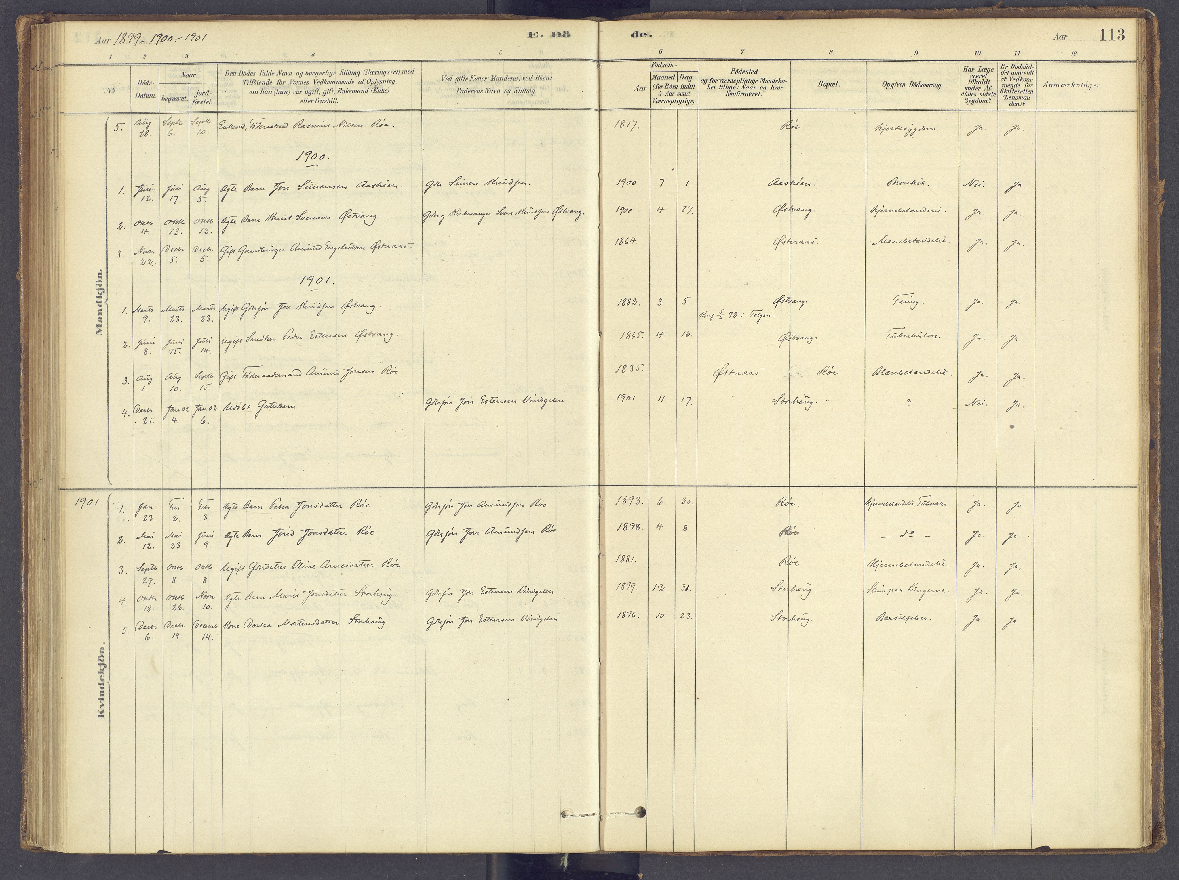 Tolga prestekontor, SAH/PREST-062/K/L0012: Parish register (official) no. 12, 1877-1925, p. 113