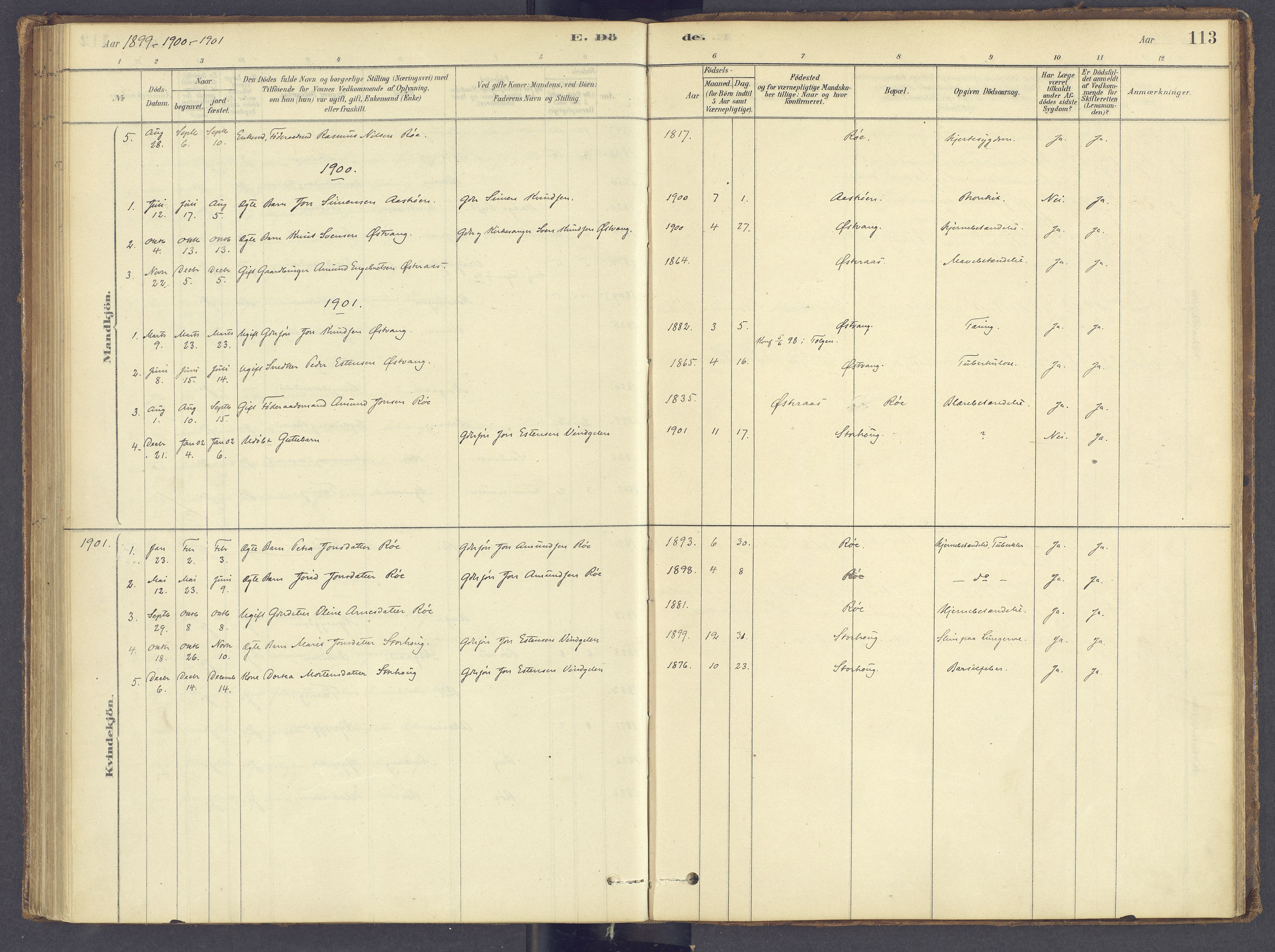 Tolga prestekontor, AV/SAH-PREST-062/K/L0012: Parish register (official) no. 12, 1877-1925, p. 113