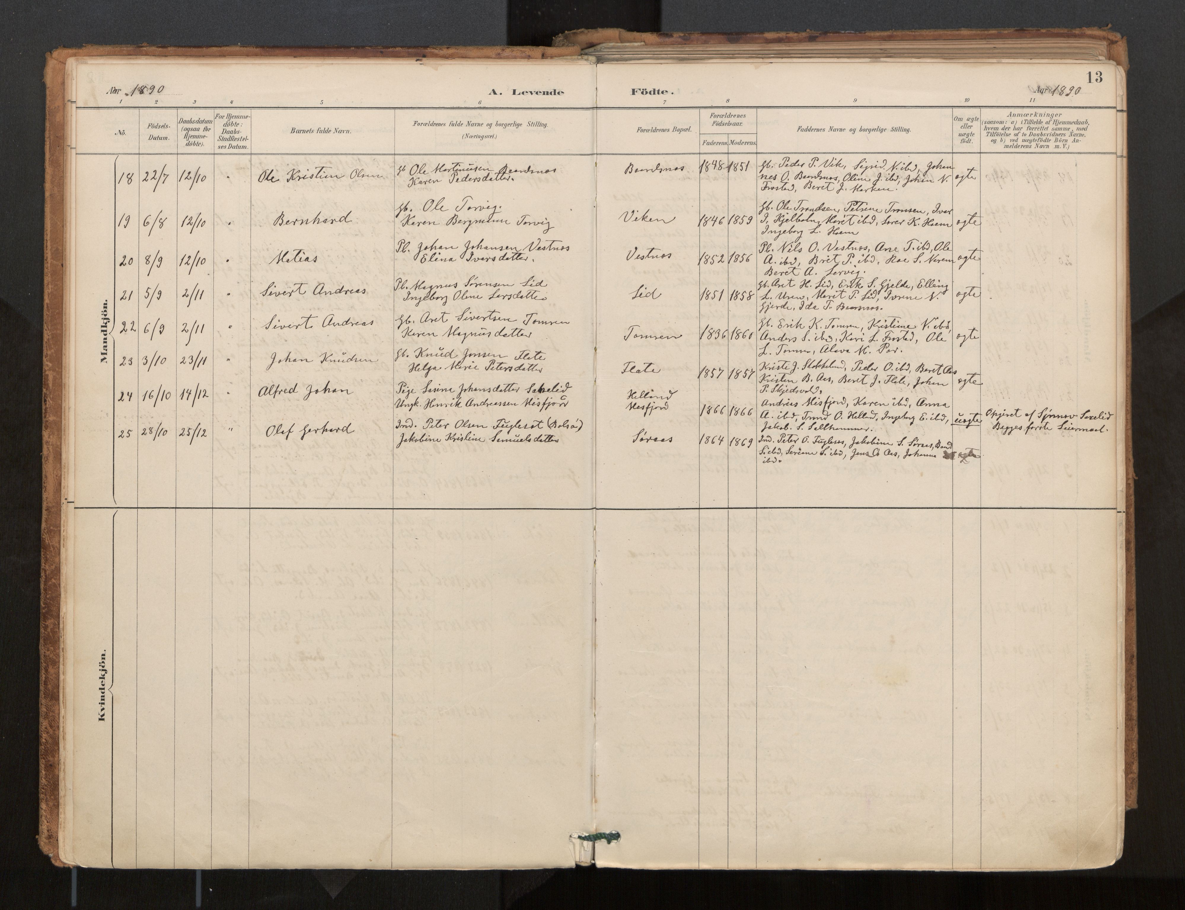 Ministerialprotokoller, klokkerbøker og fødselsregistre - Møre og Romsdal, AV/SAT-A-1454/539/L0531: Parish register (official) no. 539A04, 1887-1913, p. 13