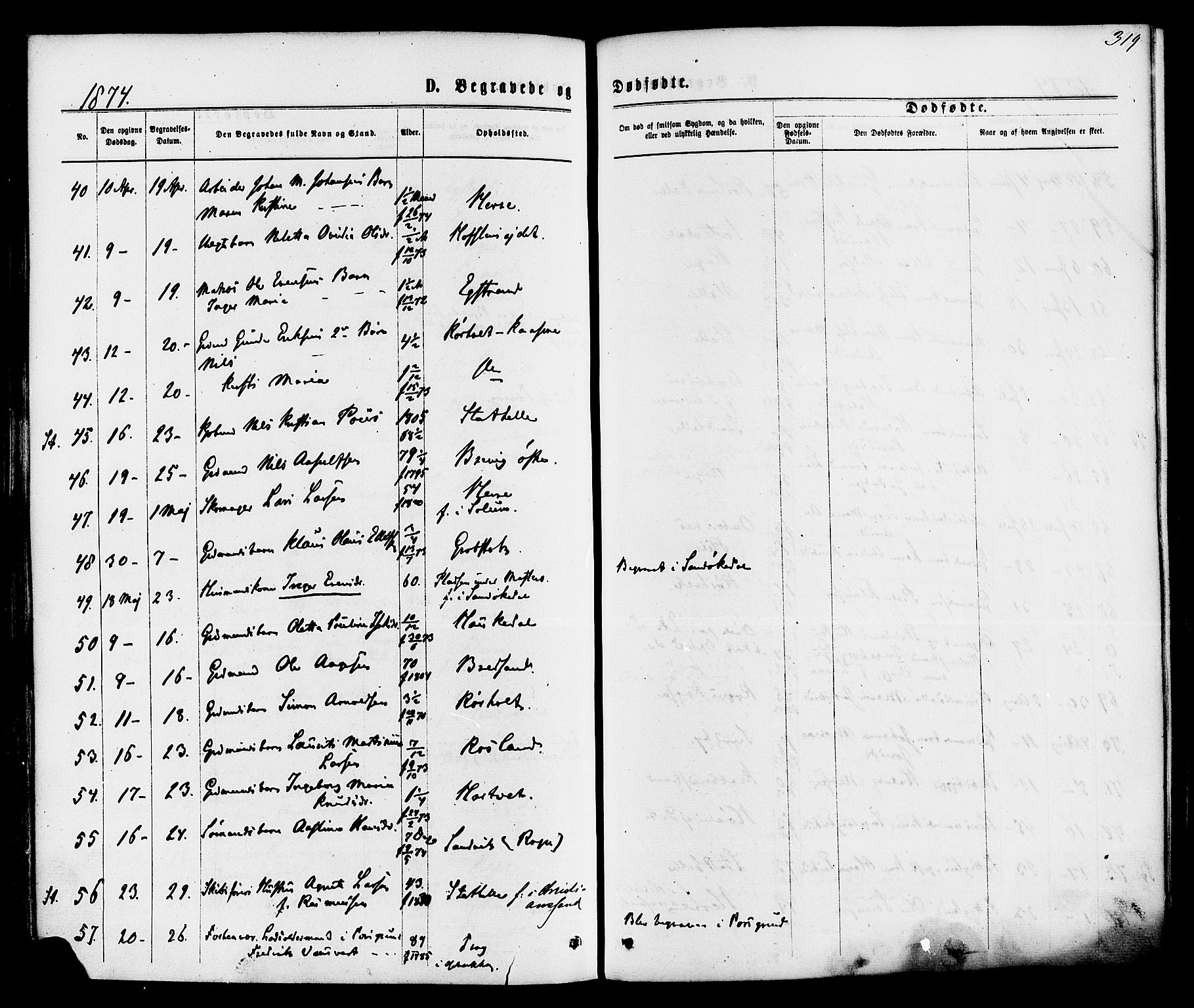 Bamble kirkebøker, SAKO/A-253/F/Fa/L0006: Parish register (official) no. I 6, 1869-1877, p. 319
