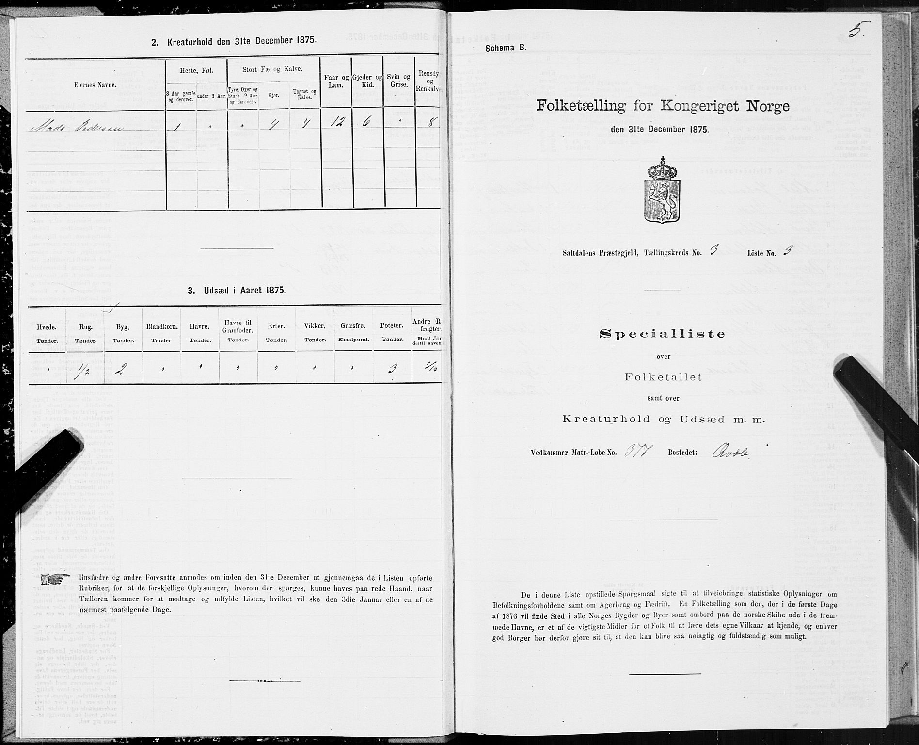 SAT, 1875 census for 1840P Saltdal, 1875, p. 2005