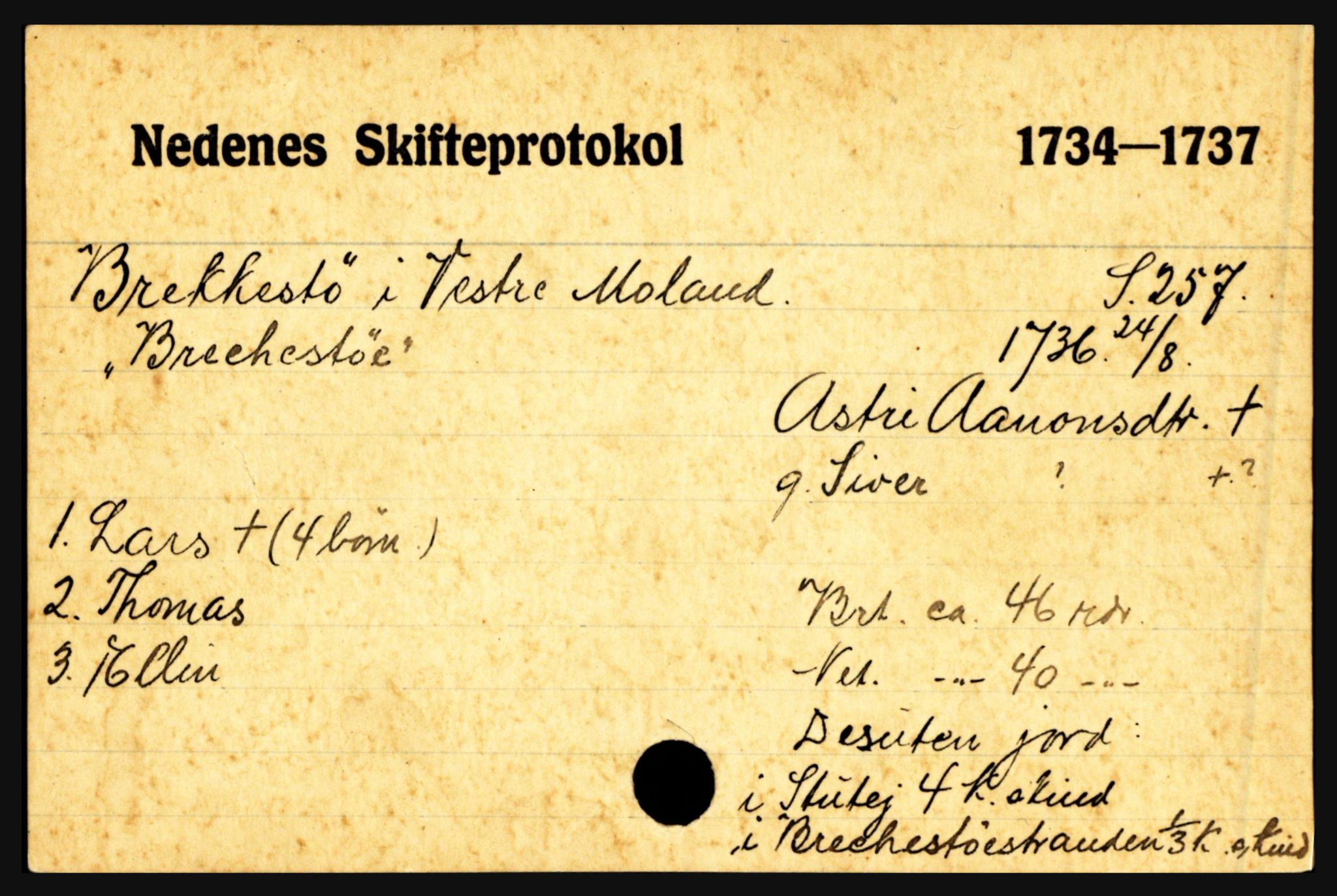 Nedenes sorenskriveri før 1824, AV/SAK-1221-0007/H, p. 3881