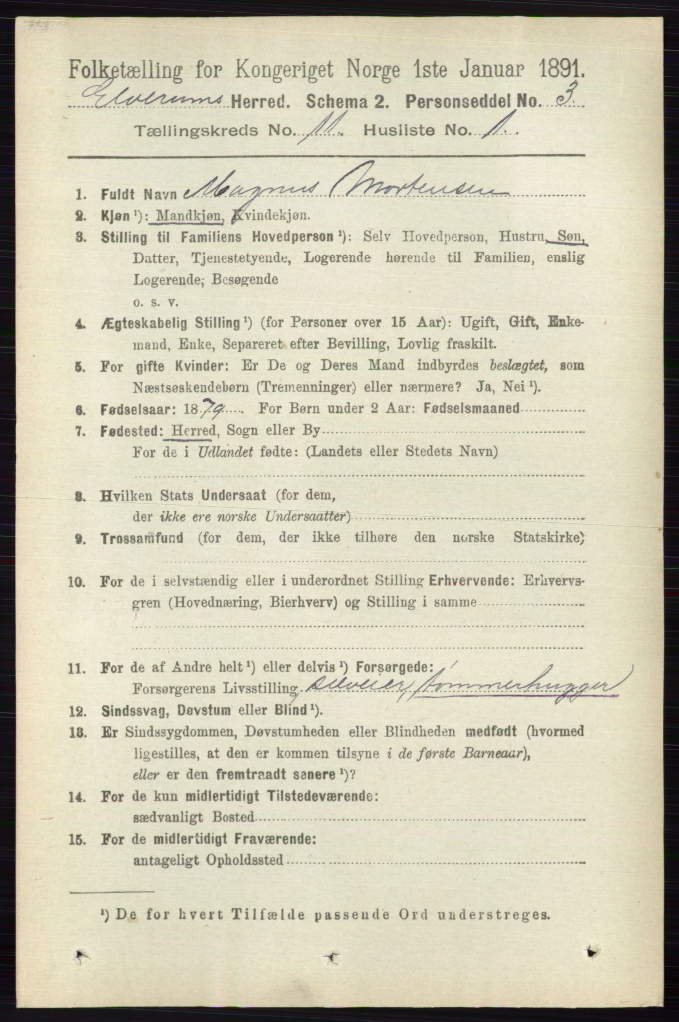 RA, 1891 census for 0427 Elverum, 1891, p. 9051