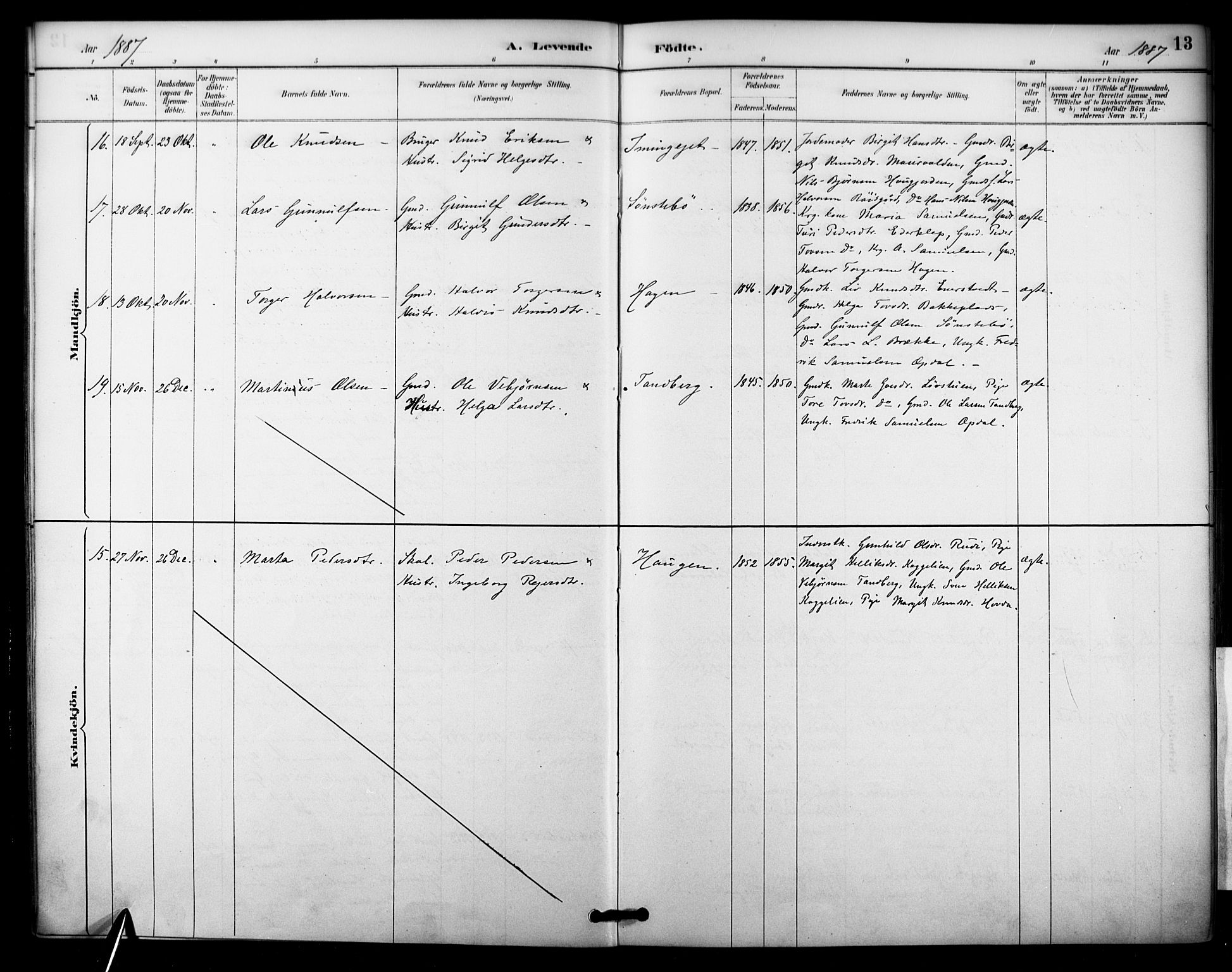 Nore kirkebøker, SAKO/A-238/F/Fc/L0004: Parish register (official) no. III 4, 1885-1898, p. 13