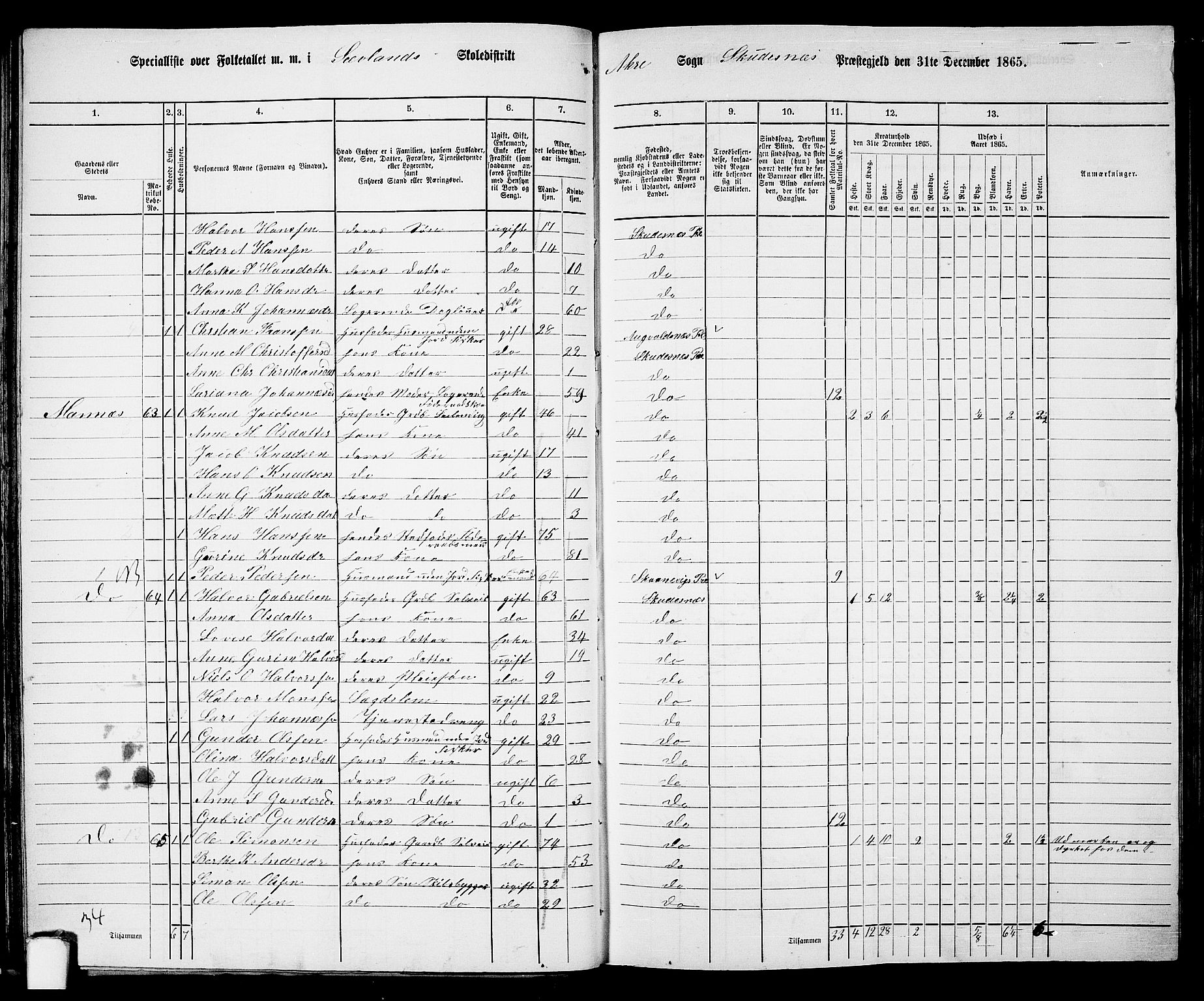 RA, 1865 census for Skudenes, 1865, p. 37