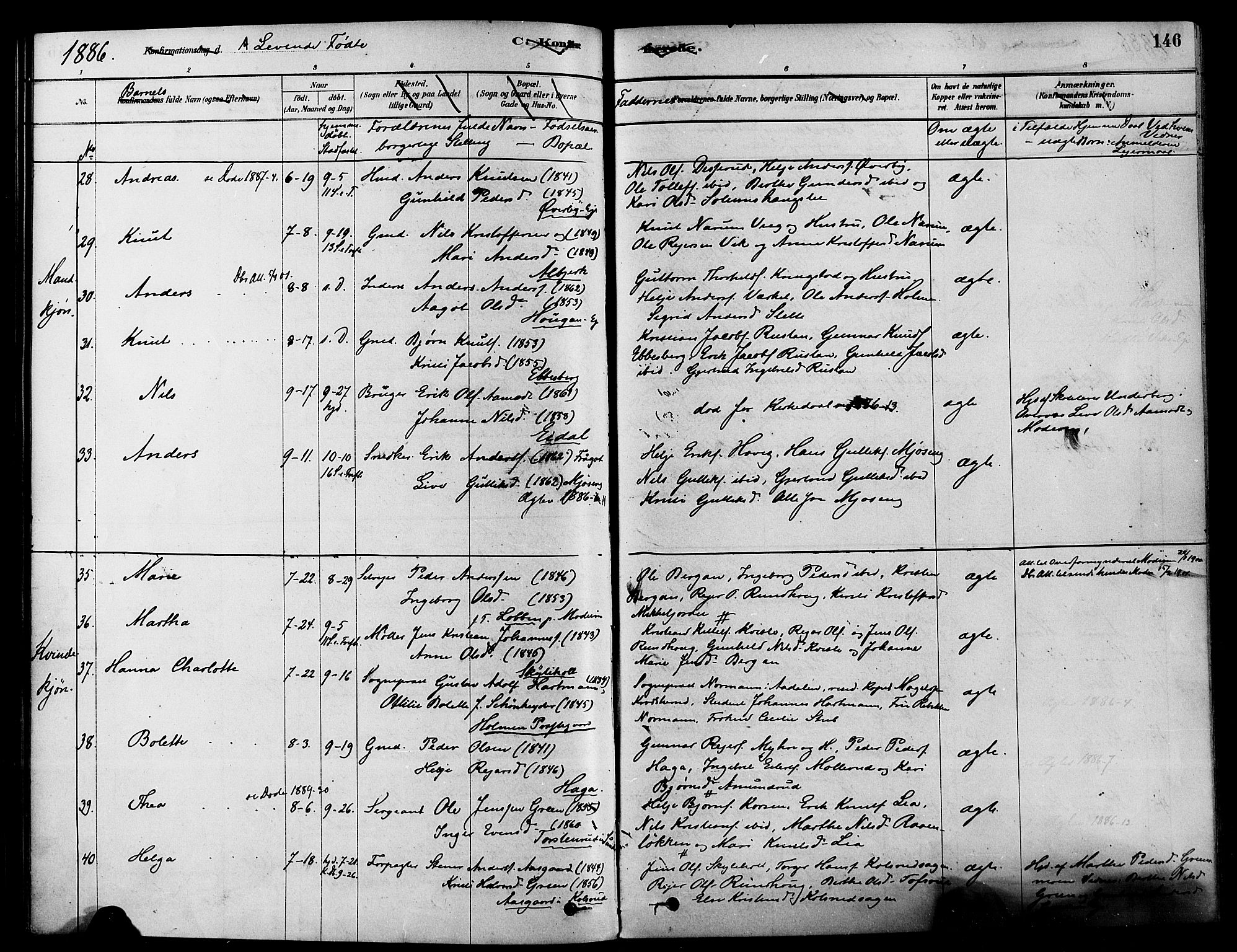 Sigdal kirkebøker, AV/SAKO-A-245/F/Fa/L0011: Parish register (official) no. I 11, 1879-1887, p. 146