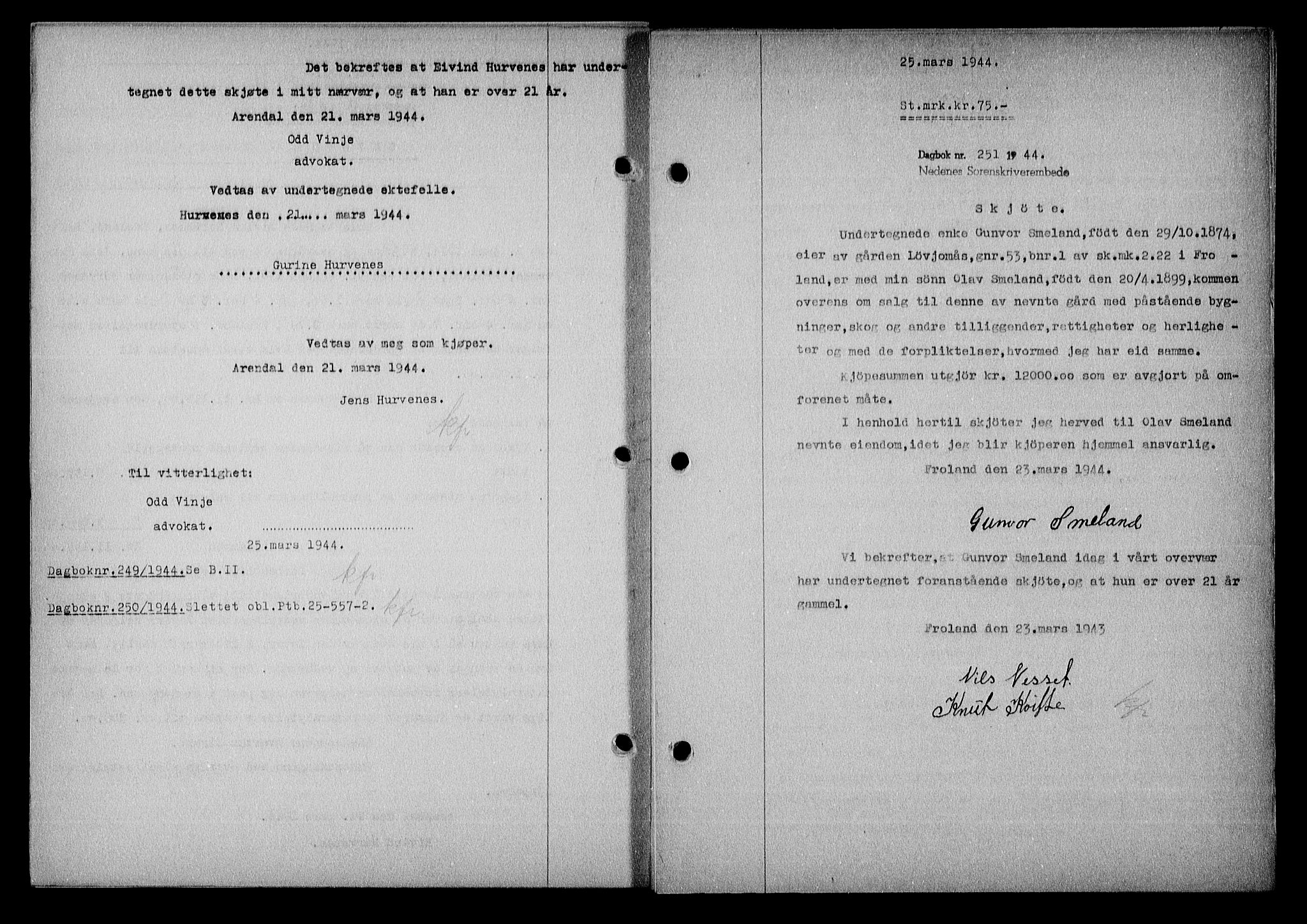 Nedenes sorenskriveri, SAK/1221-0006/G/Gb/Gba/L0051: Mortgage book no. A-V, 1943-1944, Diary no: : 251/1944