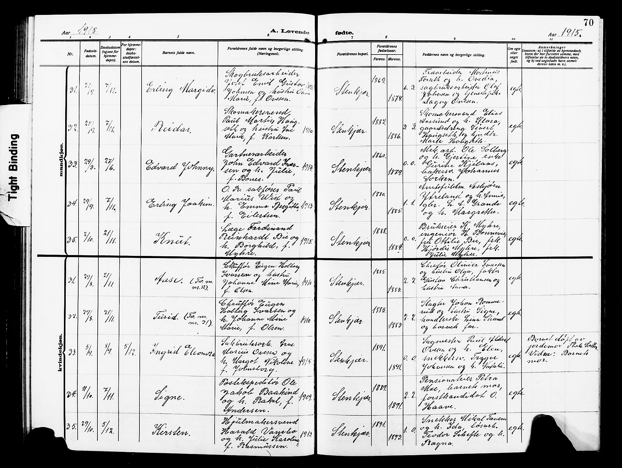 Ministerialprotokoller, klokkerbøker og fødselsregistre - Nord-Trøndelag, SAT/A-1458/739/L0376: Parish register (copy) no. 739C04, 1908-1917, p. 70