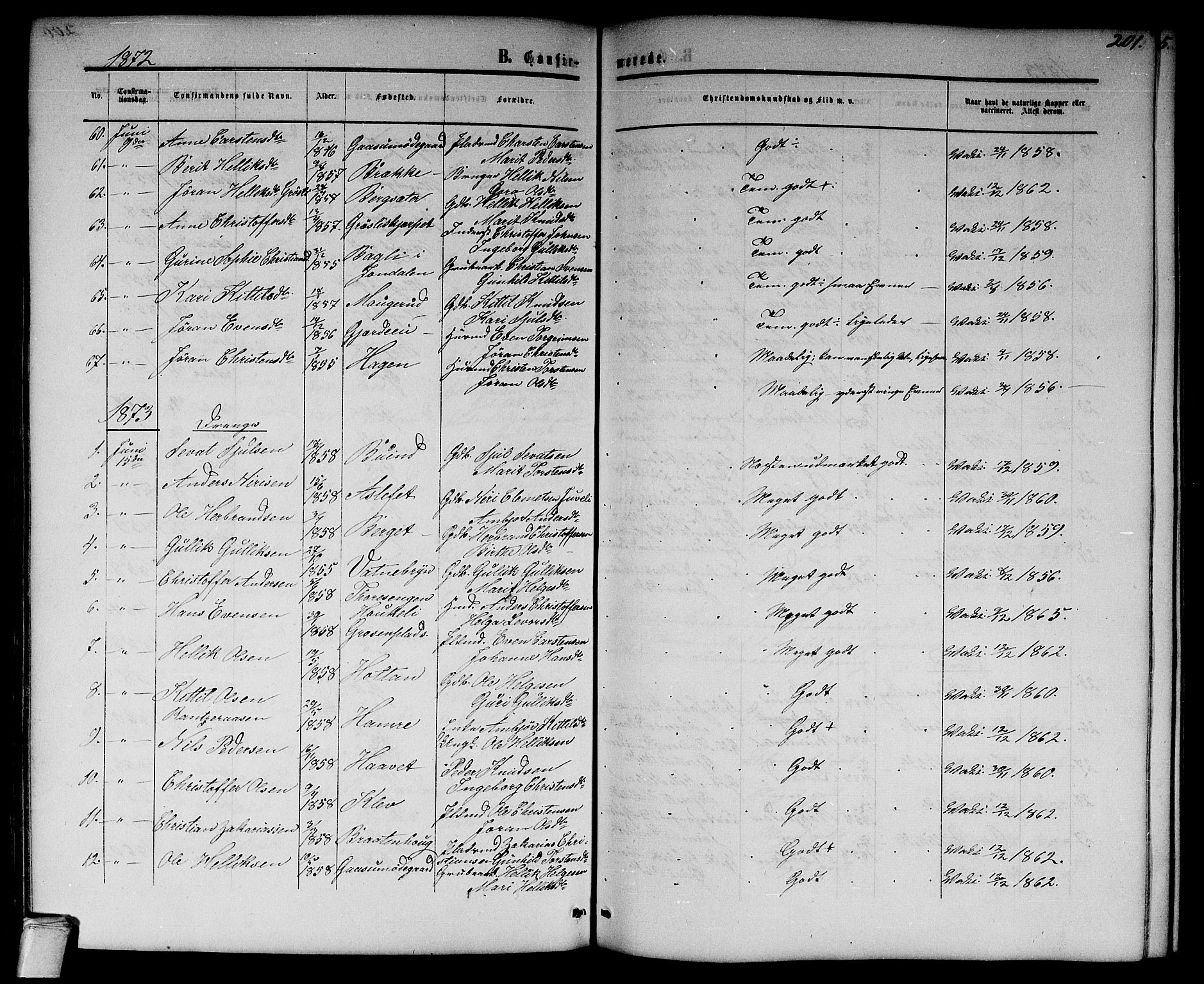 Flesberg kirkebøker, SAKO/A-18/G/Ga/L0003: Parish register (copy) no. I 3, 1861-1889, p. 201