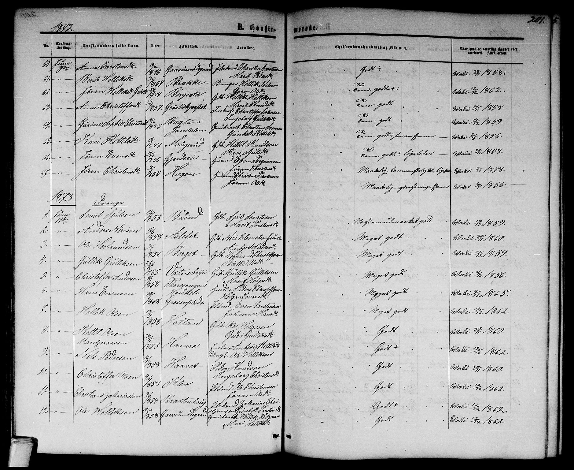 Flesberg kirkebøker, AV/SAKO-A-18/G/Ga/L0003: Parish register (copy) no. I 3, 1861-1889, p. 201