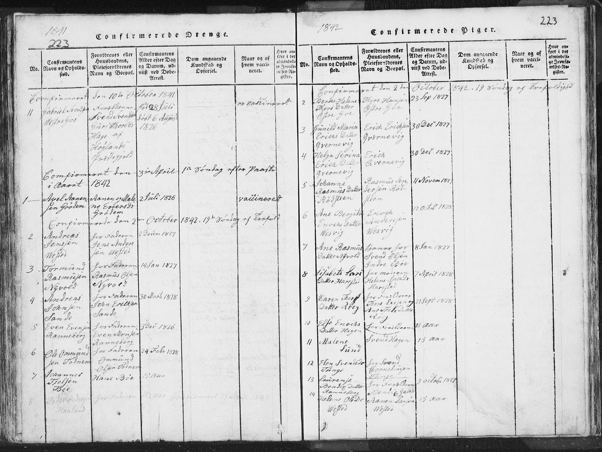 Hetland sokneprestkontor, AV/SAST-A-101826/30/30BA/L0001: Parish register (official) no. A 1, 1816-1856, p. 223