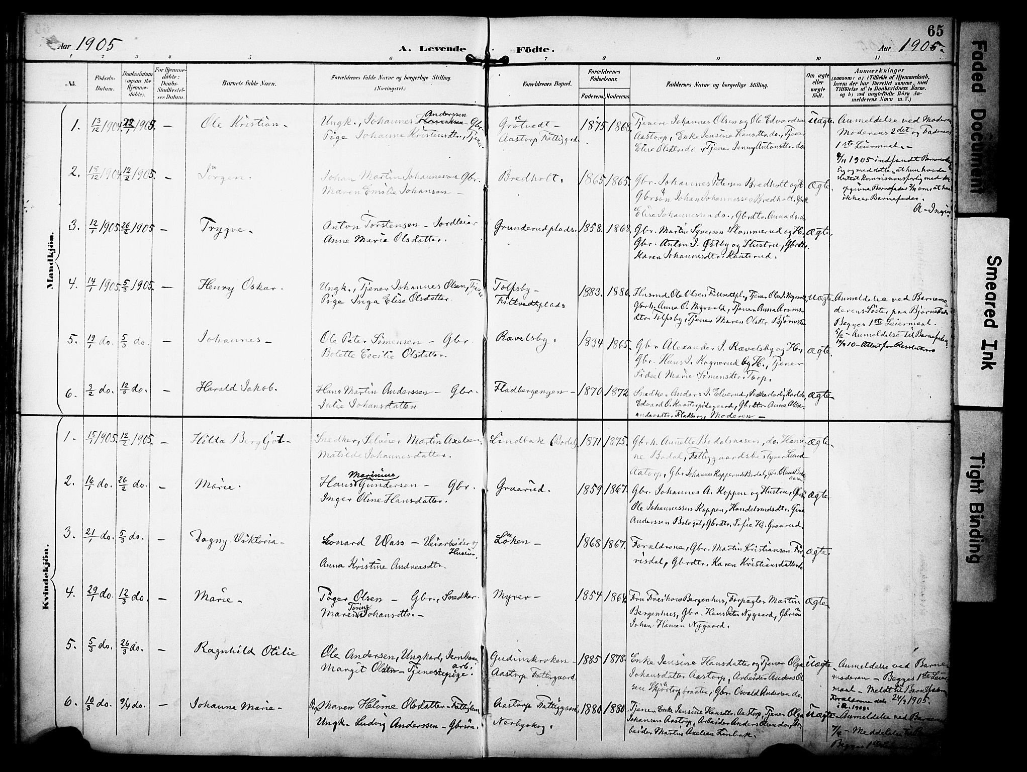 Rakkestad prestekontor Kirkebøker, AV/SAO-A-2008/F/Fa/L0013: Parish register (official) no. I 13, 1894-1908, p. 65