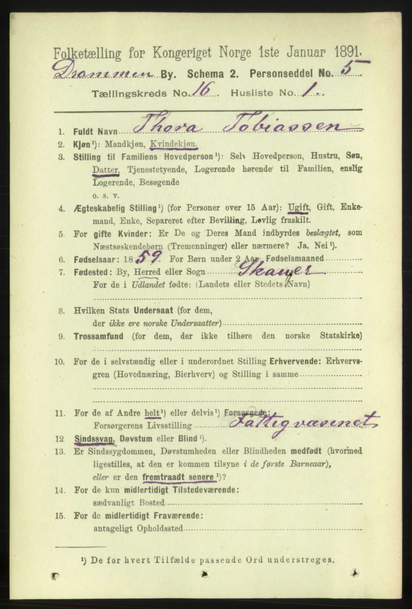 RA, 1891 census for 0602 Drammen, 1891, p. 10961