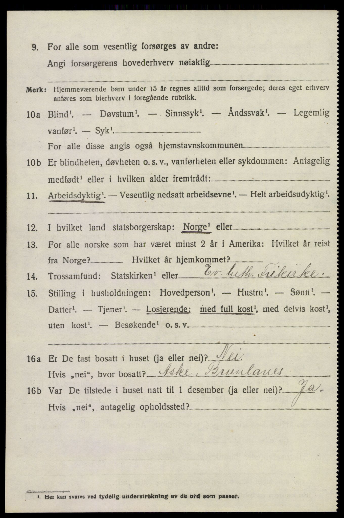 SAKO, 1920 census for Brunlanes, 1920, p. 4516