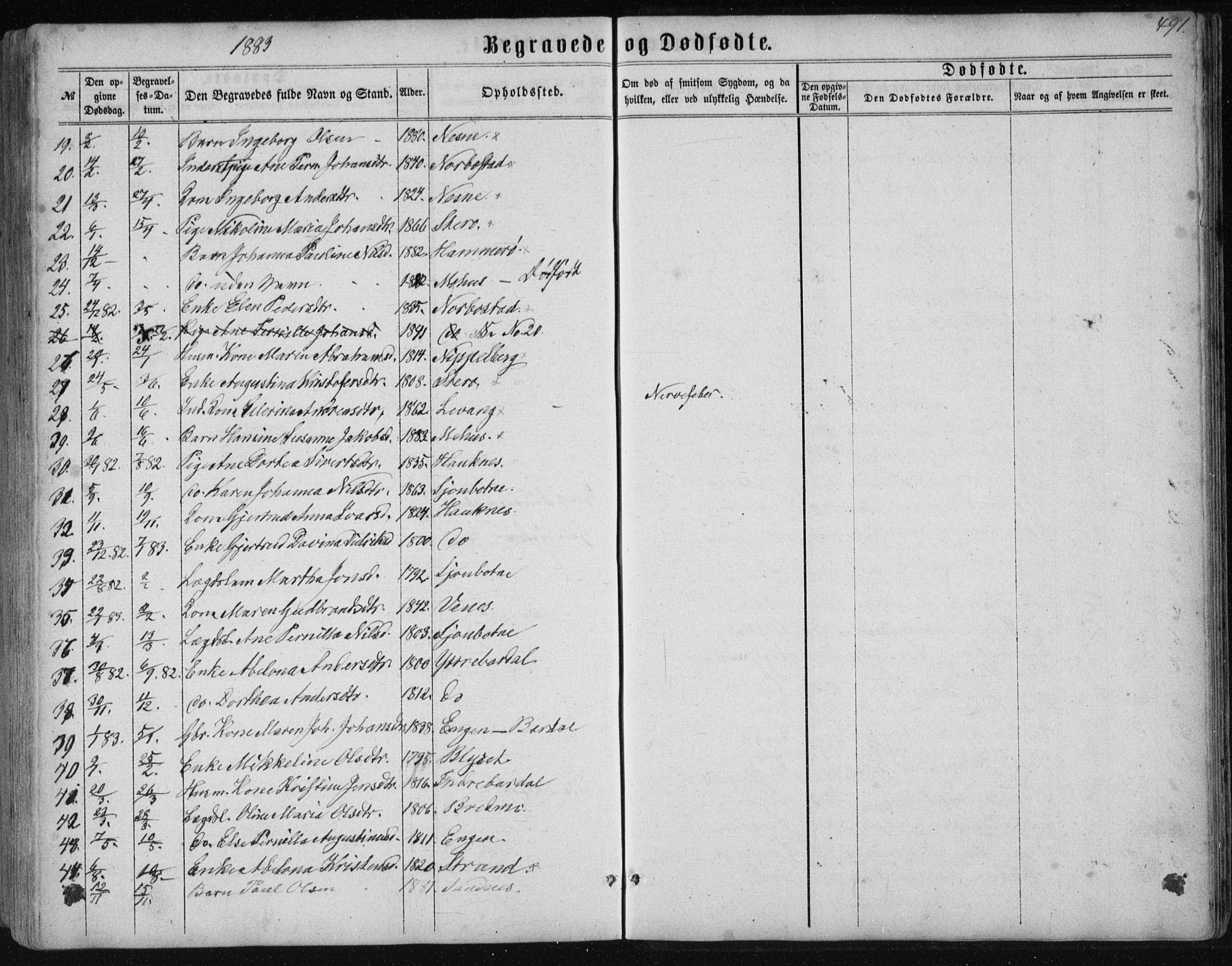 Ministerialprotokoller, klokkerbøker og fødselsregistre - Nordland, AV/SAT-A-1459/838/L0556: Parish register (copy) no. 838C03, 1861-1893, p. 491