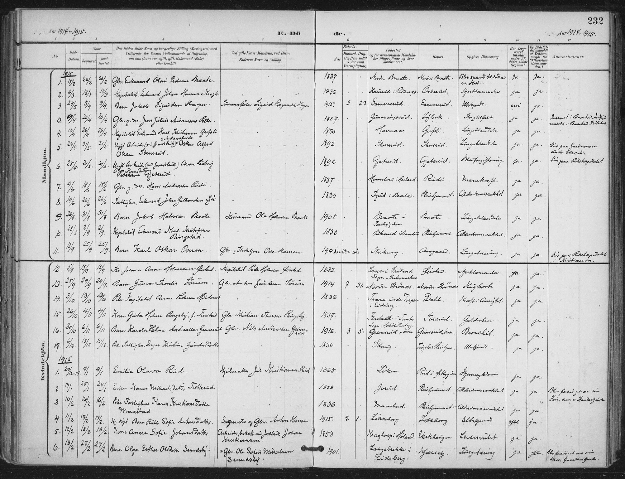 Trøgstad prestekontor Kirkebøker, SAO/A-10925/F/Fa/L0011: Parish register (official) no. I 11, 1899-1919, p. 232