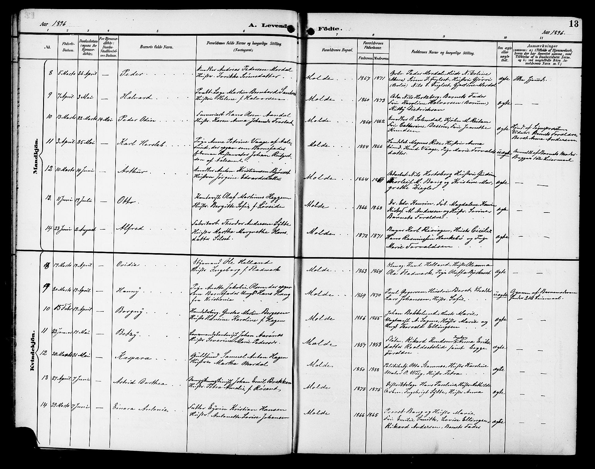 Ministerialprotokoller, klokkerbøker og fødselsregistre - Møre og Romsdal, AV/SAT-A-1454/558/L0702: Parish register (copy) no. 558C03, 1894-1915, p. 13