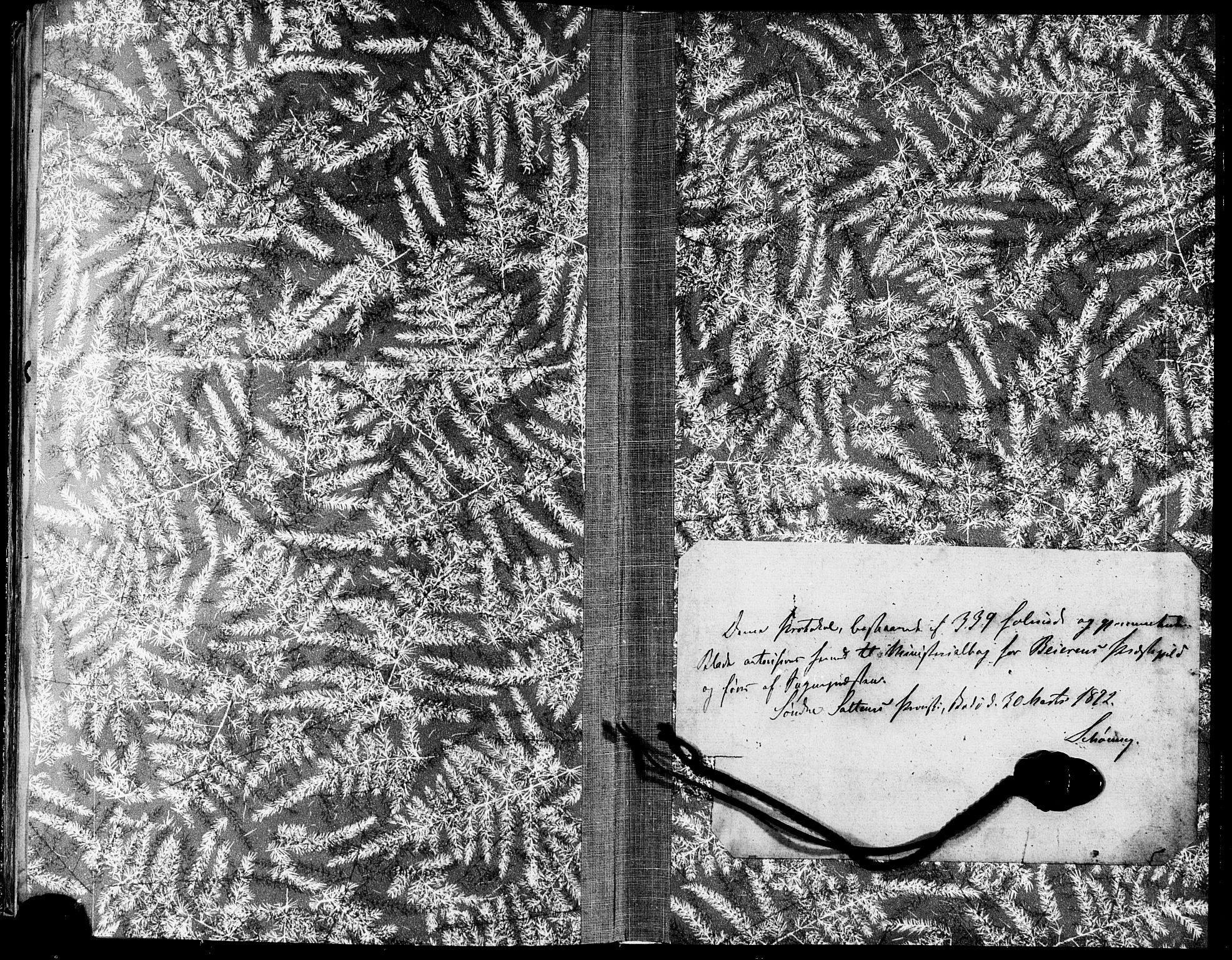 Ministerialprotokoller, klokkerbøker og fødselsregistre - Nordland, AV/SAT-A-1459/846/L0645: Parish register (official) no. 846A03, 1872-1886