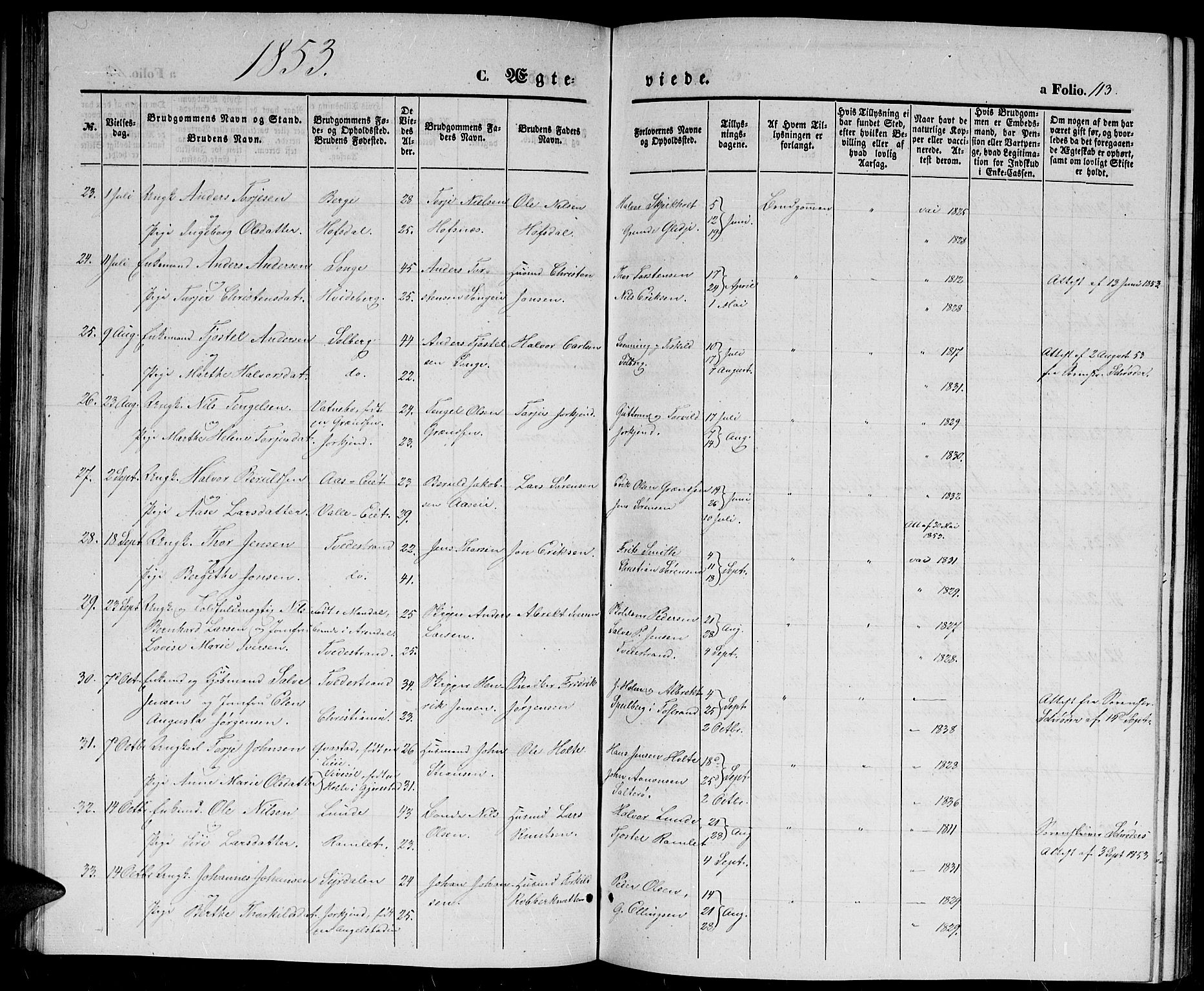 Holt sokneprestkontor, SAK/1111-0021/F/Fb/L0007: Parish register (copy) no. B 7, 1849-1858, p. 113