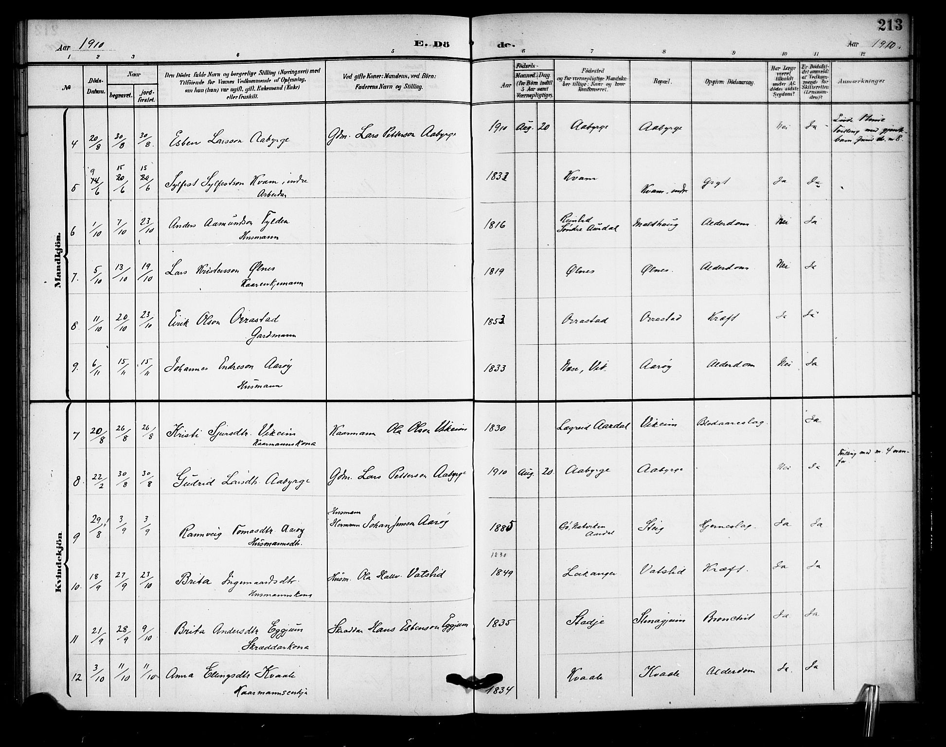 Sogndal sokneprestembete, AV/SAB-A-81301/H/Hab/Haba/L0002: Parish register (copy) no. A 2, 1908-1924, p. 213