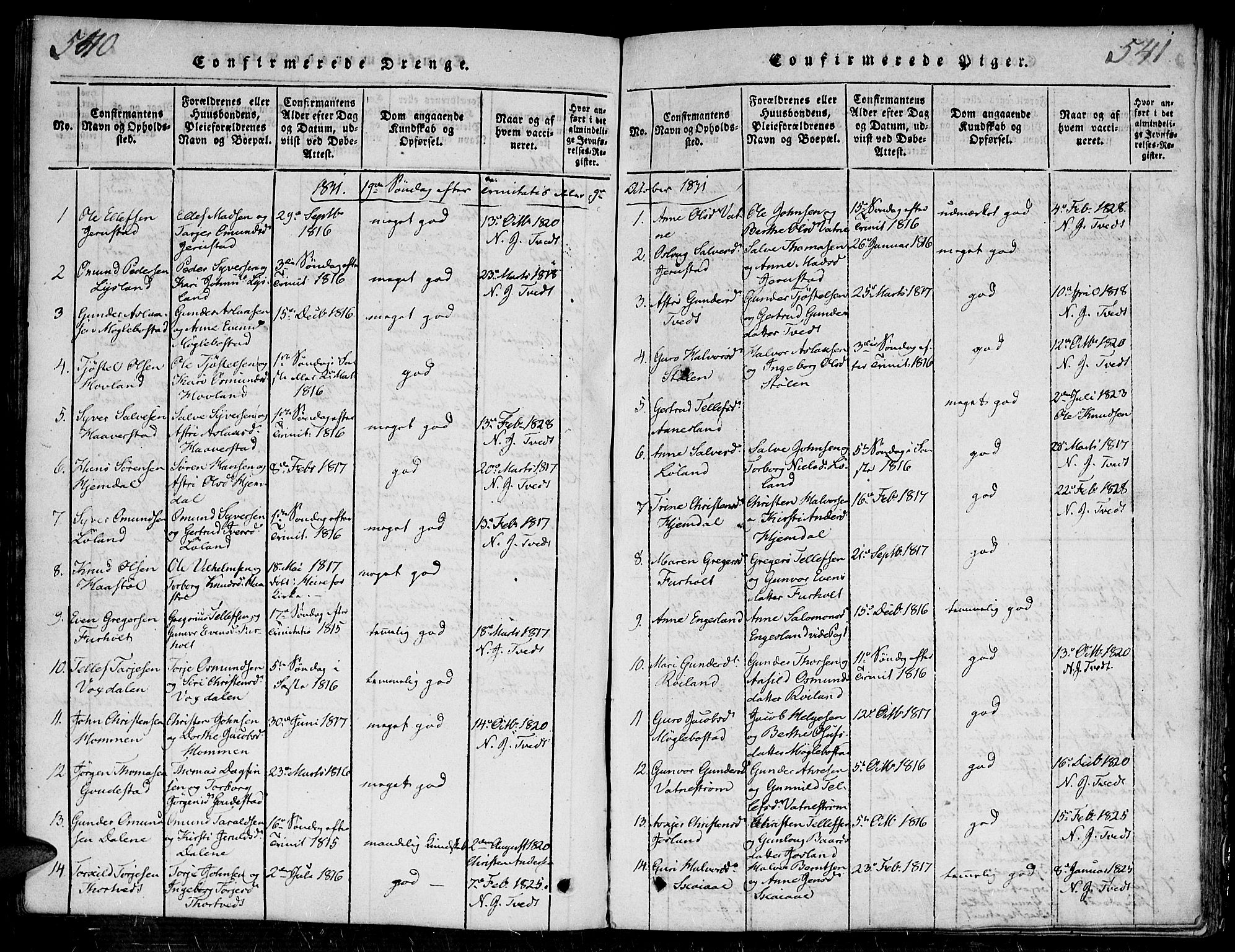 Evje sokneprestkontor, SAK/1111-0008/F/Fa/Faa/L0004: Parish register (official) no. A 4, 1816-1840, p. 540-541