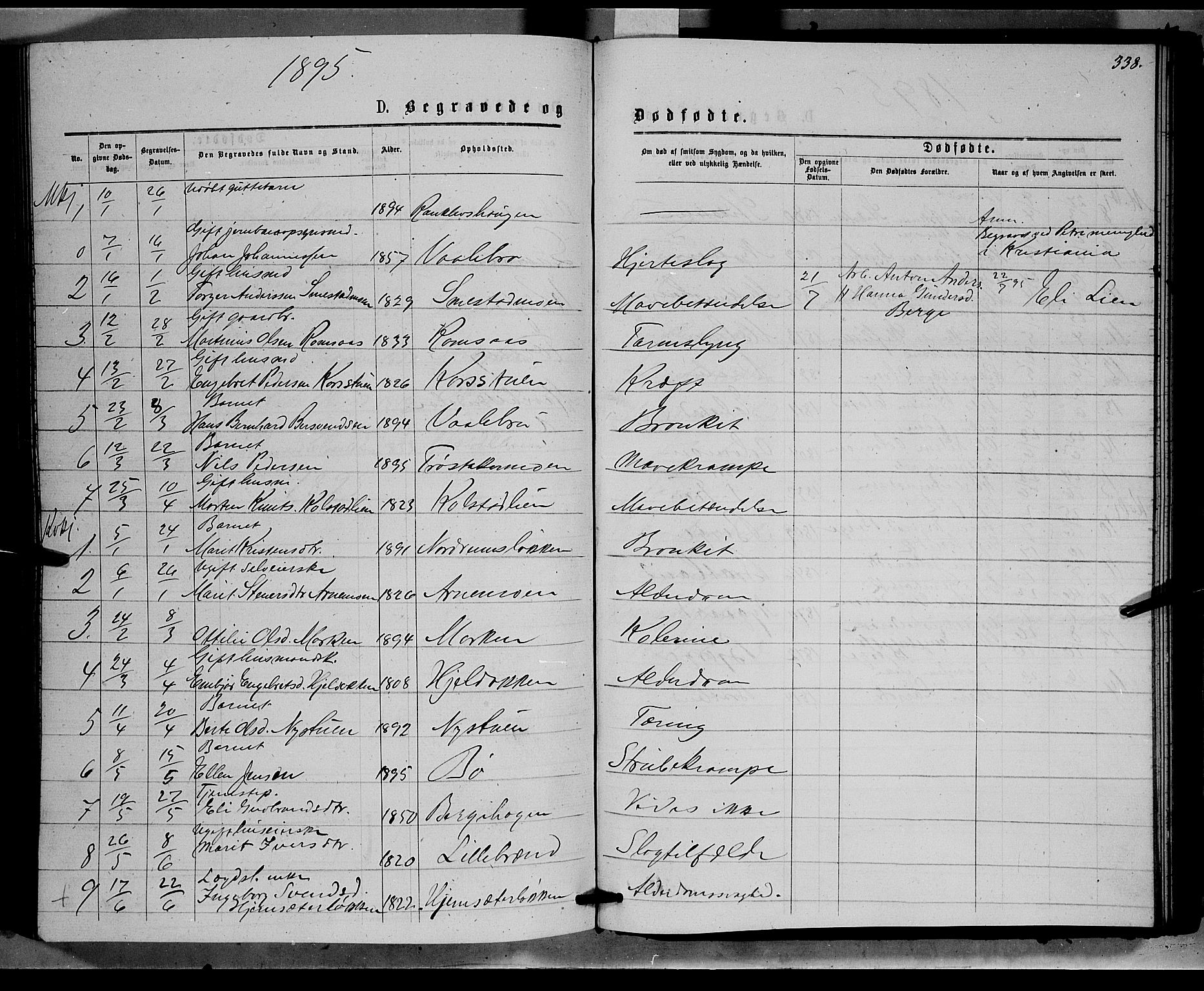 Ringebu prestekontor, SAH/PREST-082/H/Ha/Hab/L0006: Parish register (copy) no. 6, 1880-1898, p. 338
