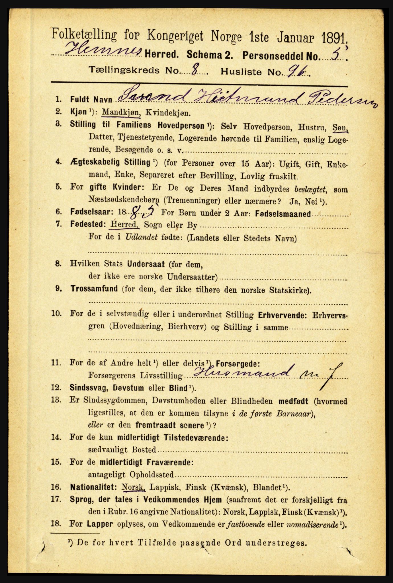 RA, 1891 census for 1832 Hemnes, 1891, p. 4237