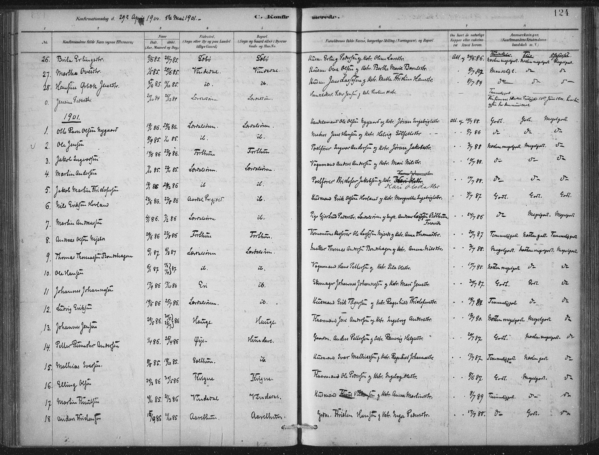 Lærdal sokneprestembete, SAB/A-81201: Parish register (official) no. D  1, 1878-1908, p. 124