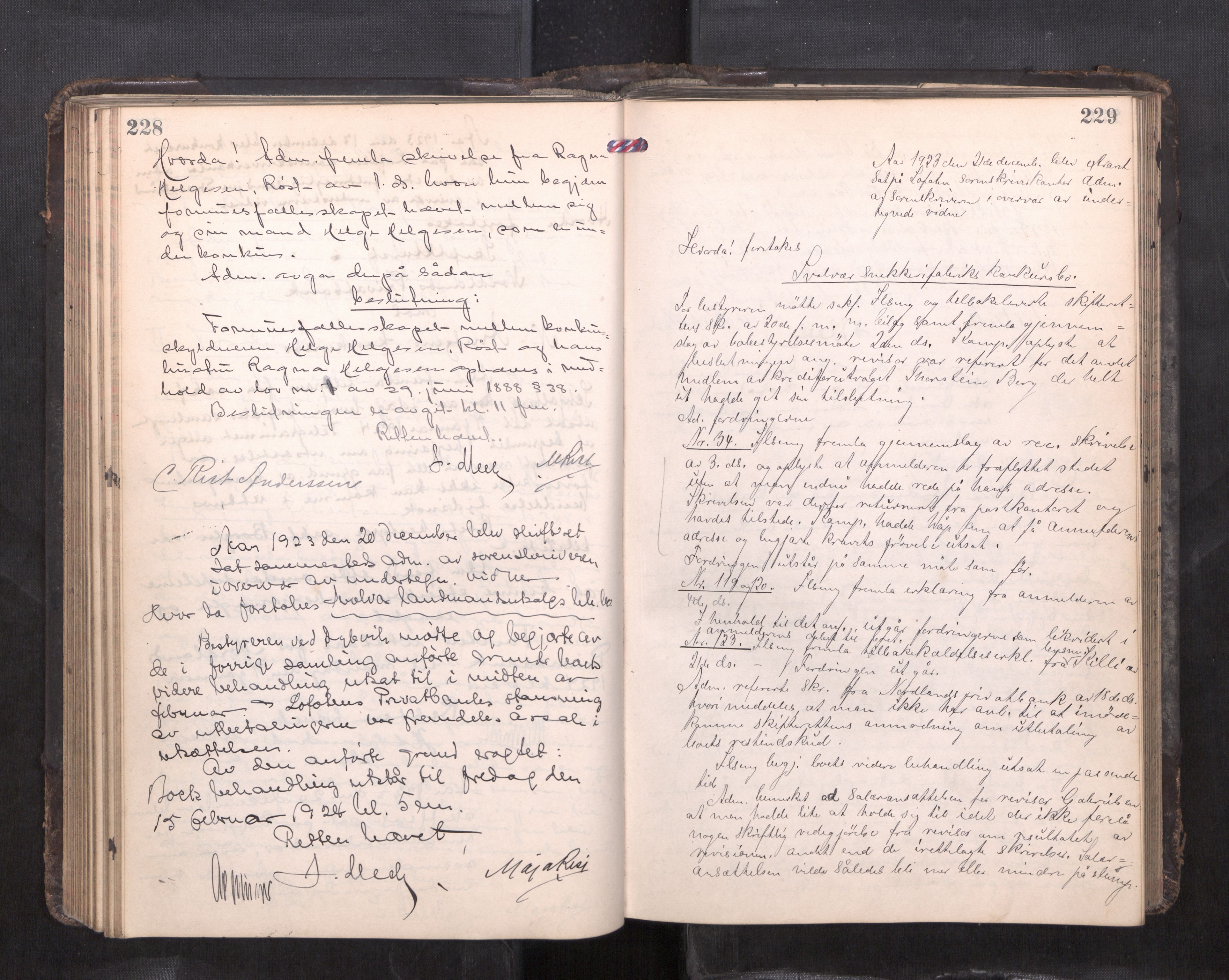 Lofoten sorenskriveri, AV/SAT-A-0017/1/3/3B/L0011: Skifteforhandlings-protokoll, 1922-1925, p. 228-229