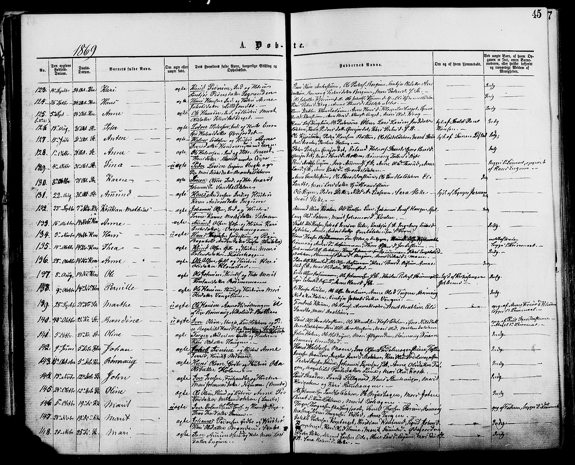 Nord-Fron prestekontor, AV/SAH-PREST-080/H/Ha/Haa/L0002: Parish register (official) no. 2, 1865-1883, p. 45