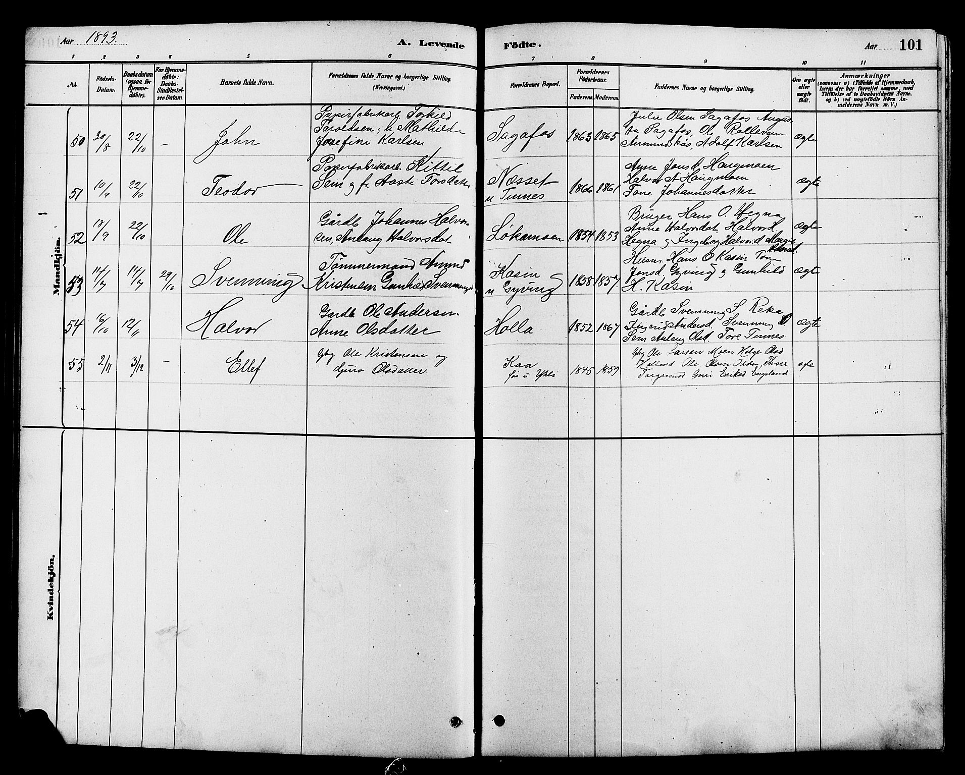 Heddal kirkebøker, SAKO/A-268/G/Ga/L0002: Parish register (copy) no. I 2, 1879-1908, p. 101